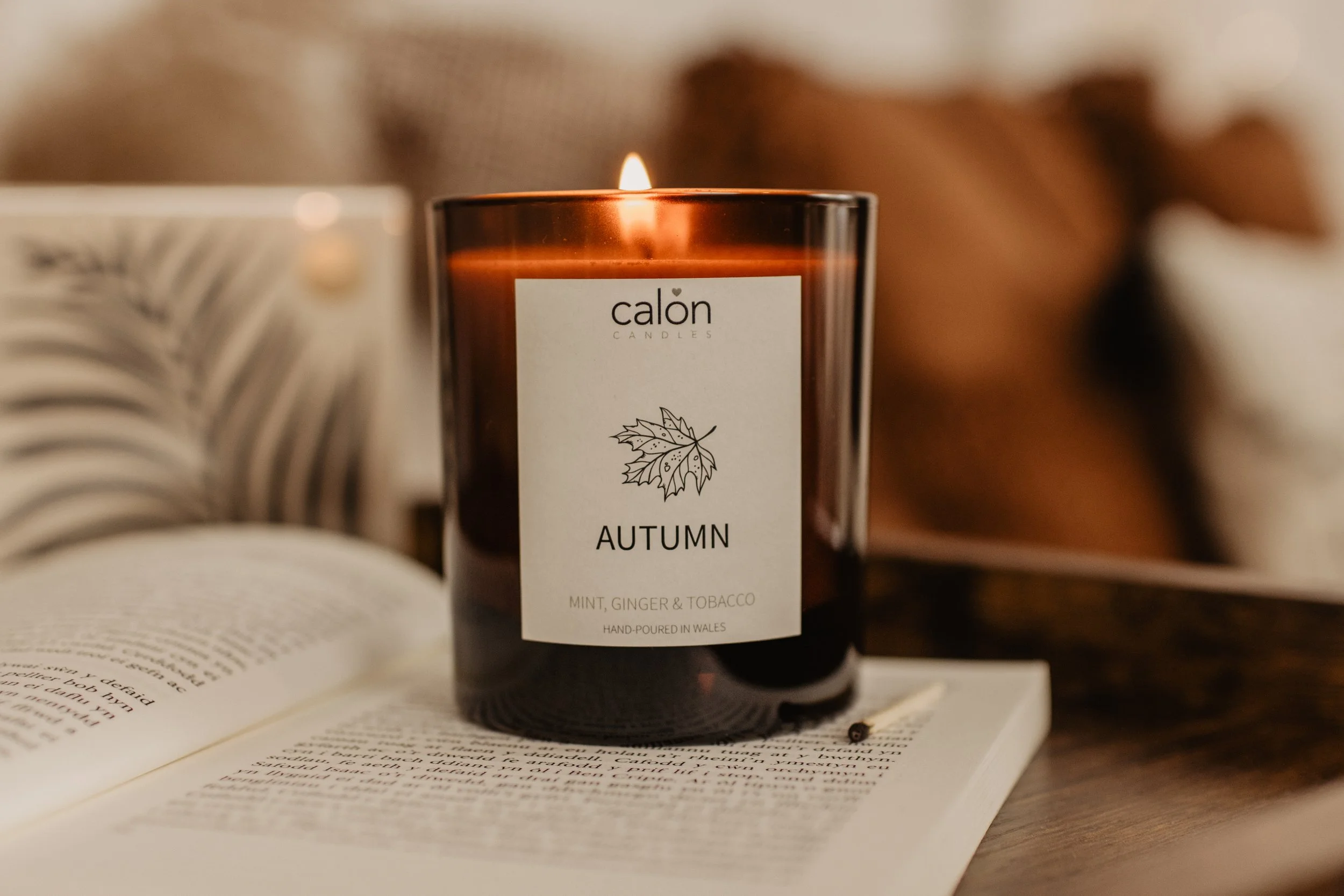 Mint, Ginger & Tobacco Autumn amber glass candle on open book.jpg