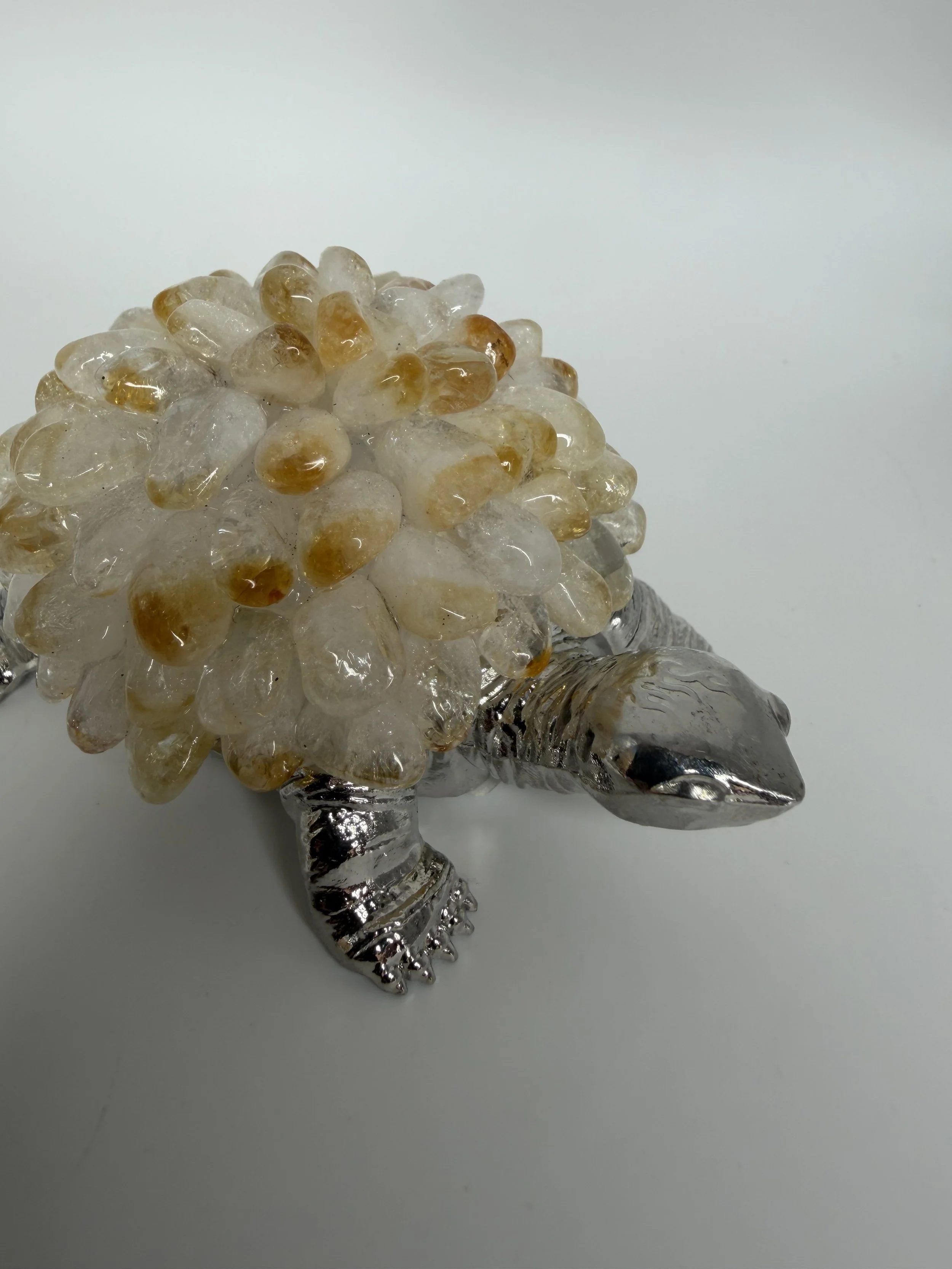 Citrine Turtle