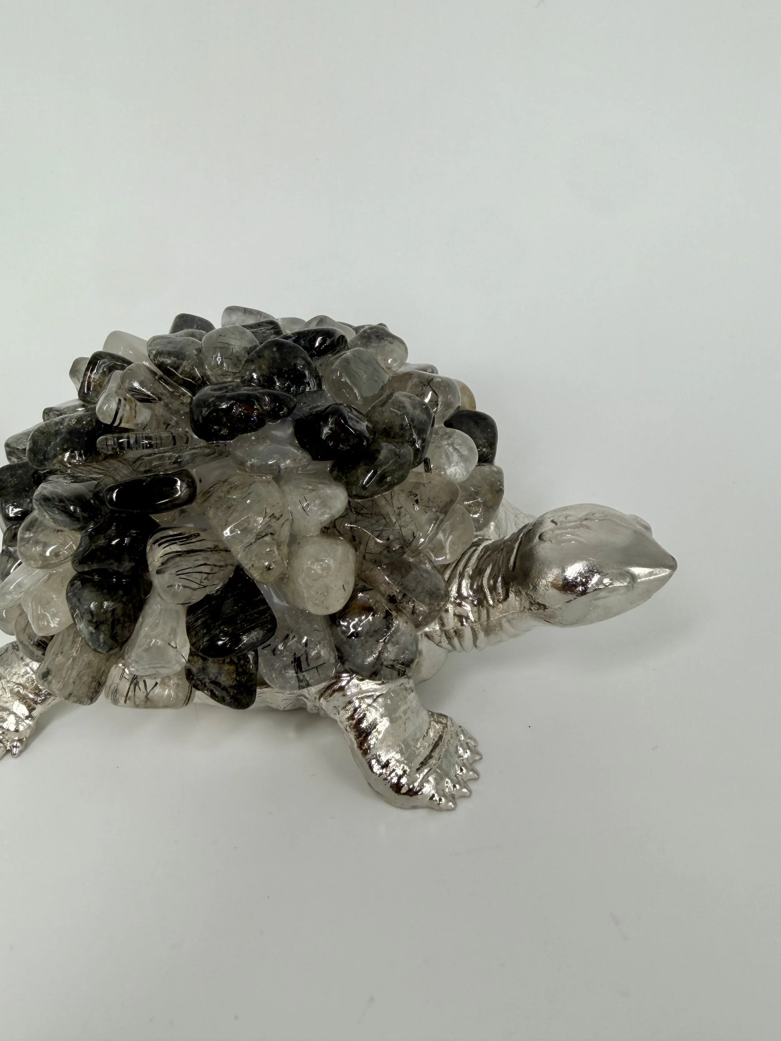 Tourmaline Clear Quartz