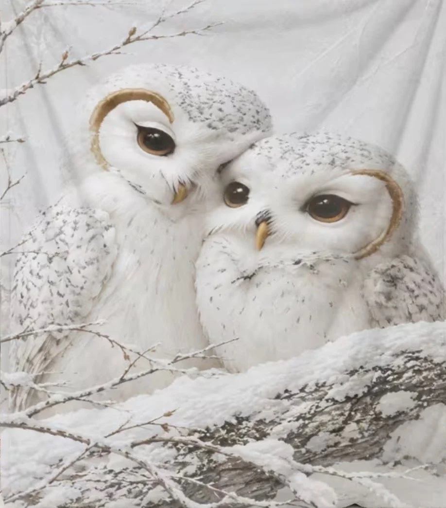 Snowy Owl Blanket