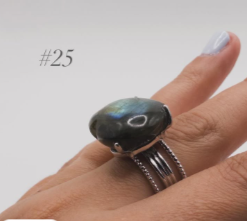 25_ring.png