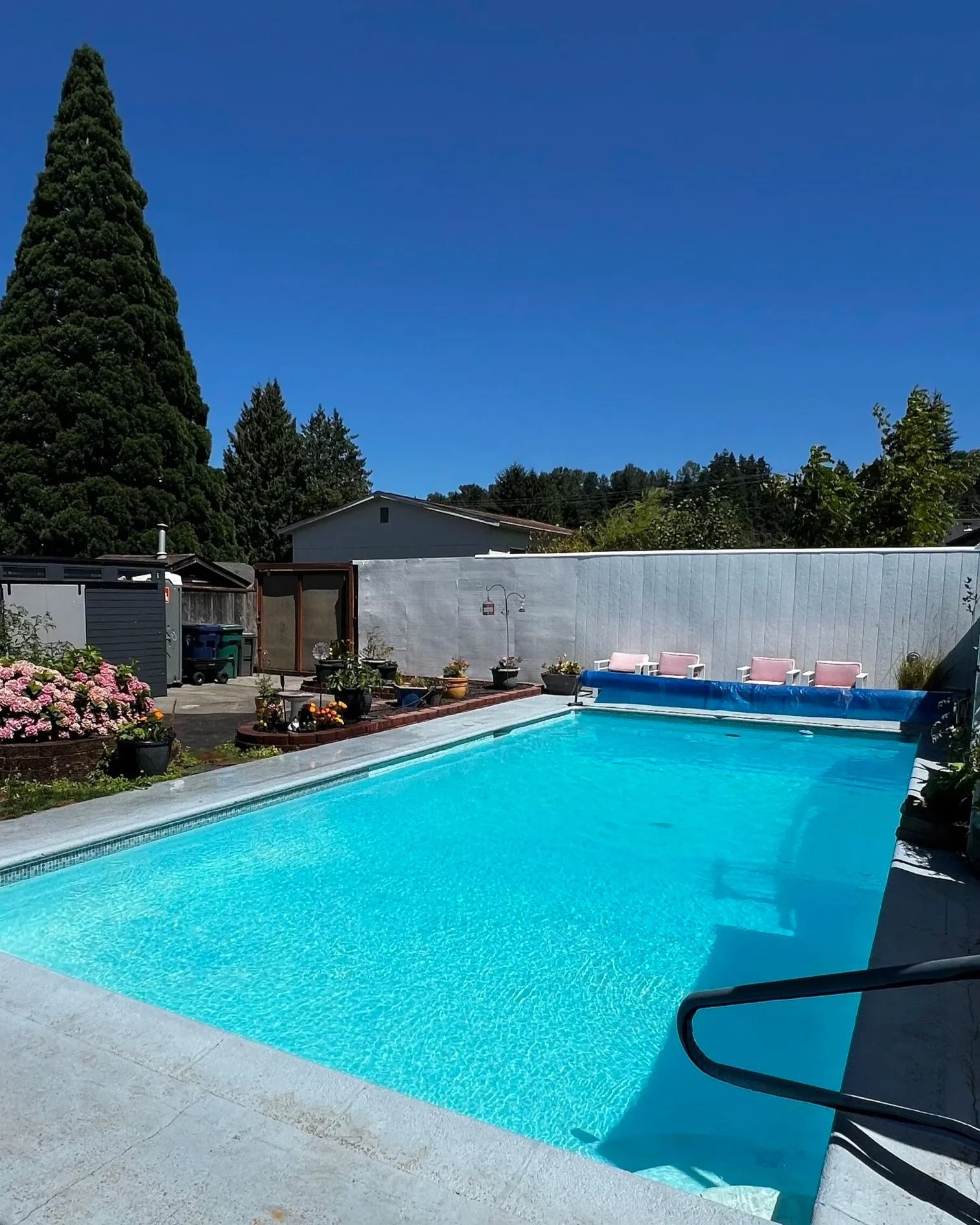 A backyard with a swimming pool surrounded by a concrete deck, with pink chairs, potted plants, a white privacy fence, and a row of trees and houses in the background under a clear blue sky.