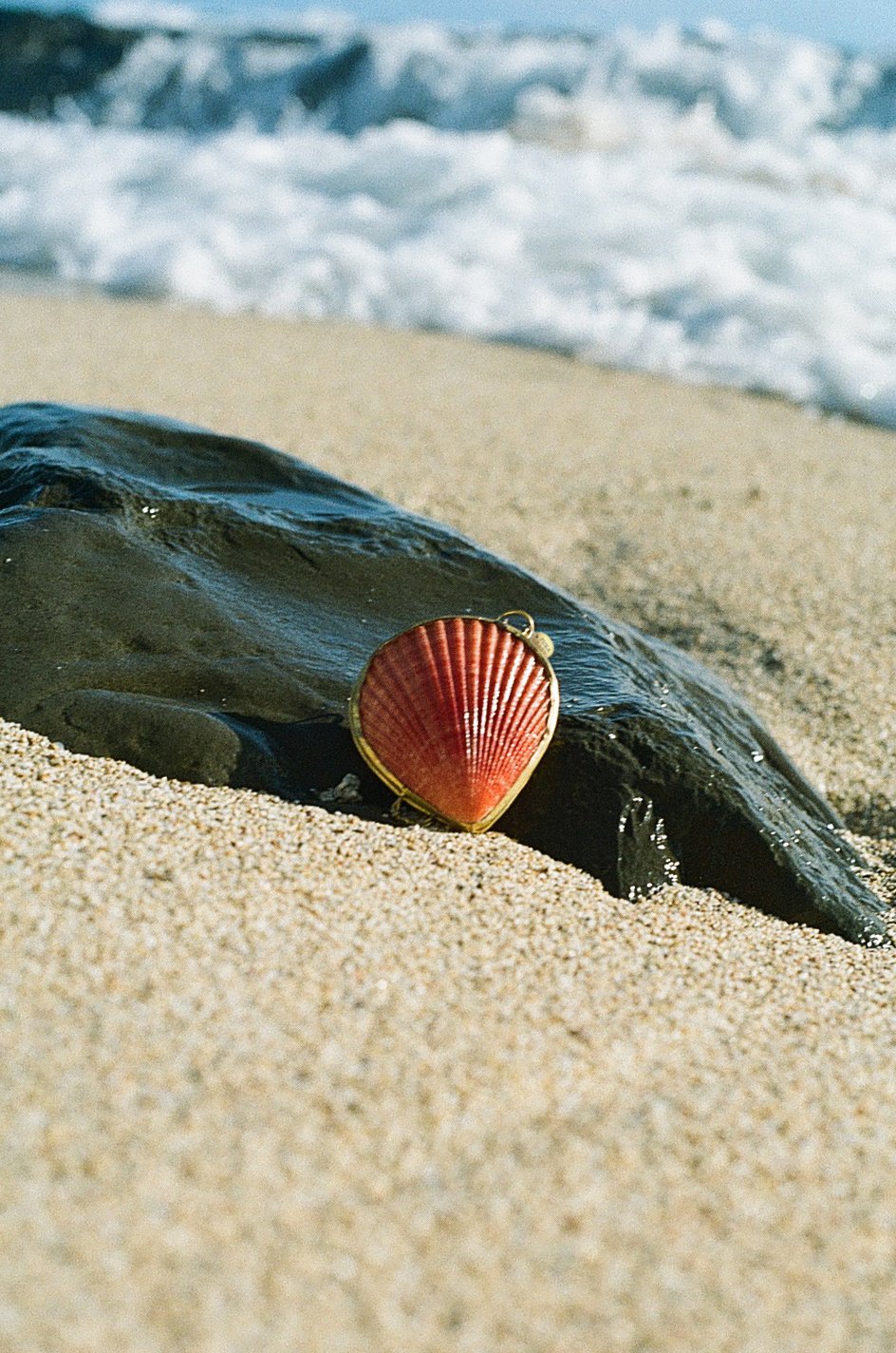 The Scallop Beach Balm