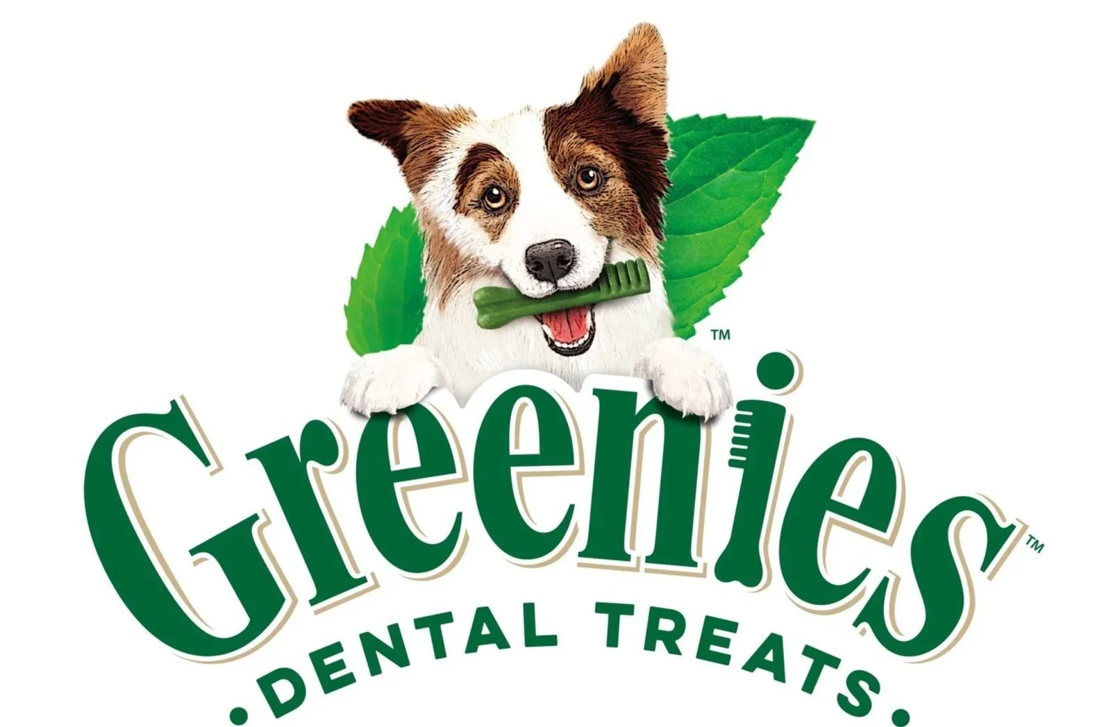 A logo for Greenies dental treats features a happy dog with a green chew toy in its mouth, surrounded by green leaves and the text 'Greenies Dental Treats' in green letters.
