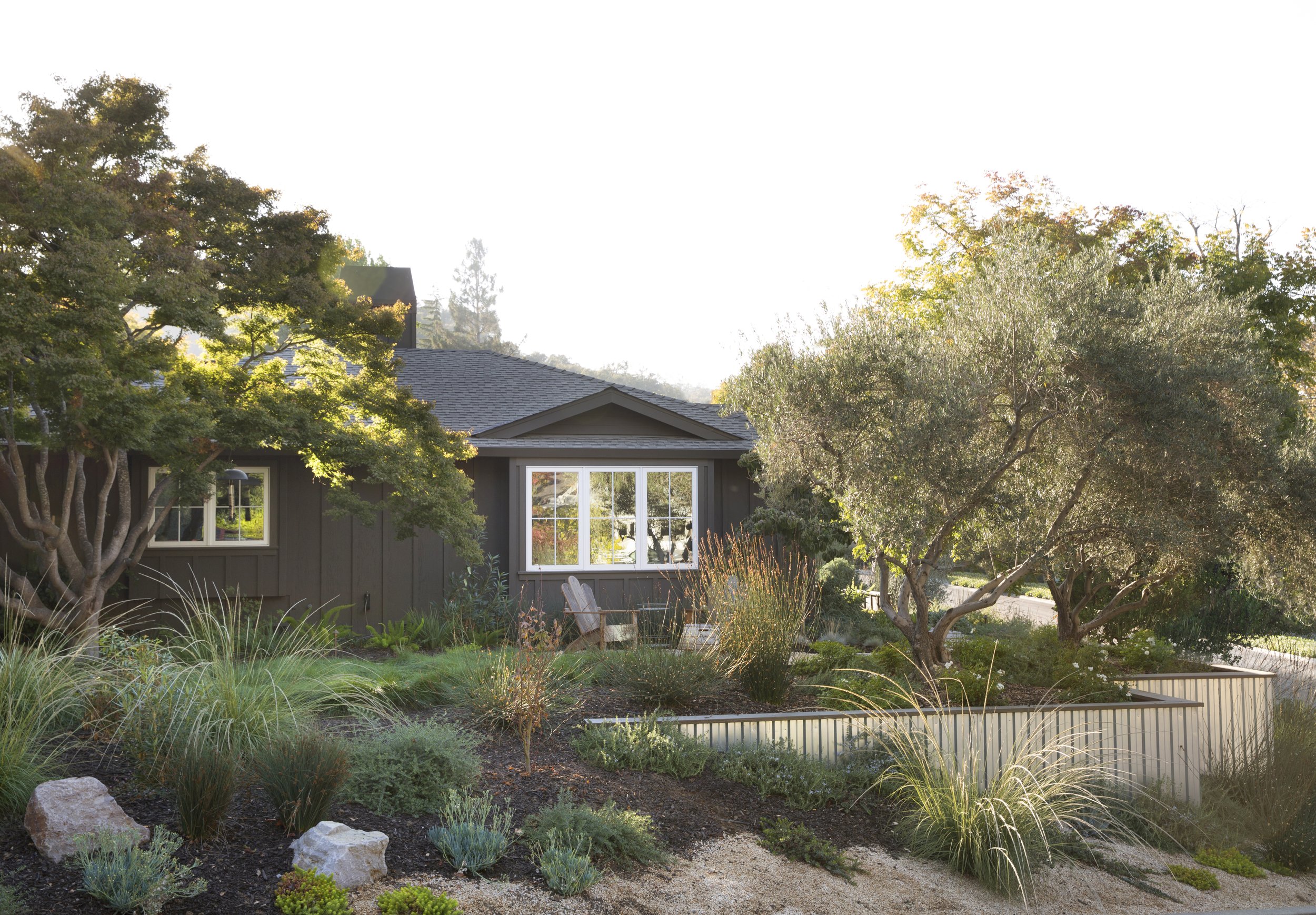 A backyard garden with various trees, shrubs, and ornamental grasses in front of a house with large windows. The house has a dark exterior and a sloped roof. There are rocks and a small fence in the landscaped yard, with sunlight illuminating the sce
