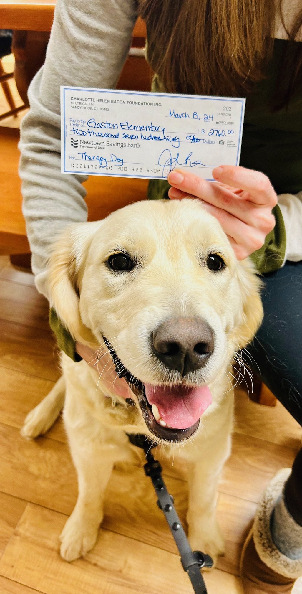 A happy golden retriever with a black collar sitting on a wooden floor, smiling with her tongue out. A person is holding a large check of Trilly's first of 3 therapy dog grants are above the dog's head.