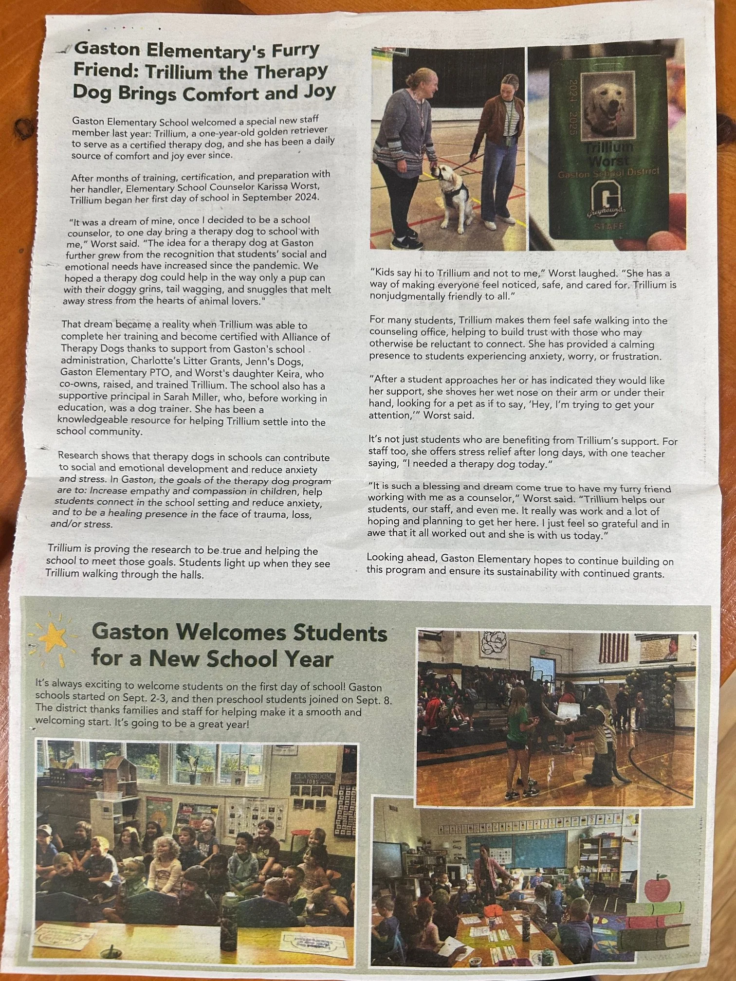 A newspaper page with articles and photos about Gaston Elementary's new therapy dog, Trillium. The photos show Trillium with staff and students, a group of students in a classroom, and a scene in a school gymnasium.