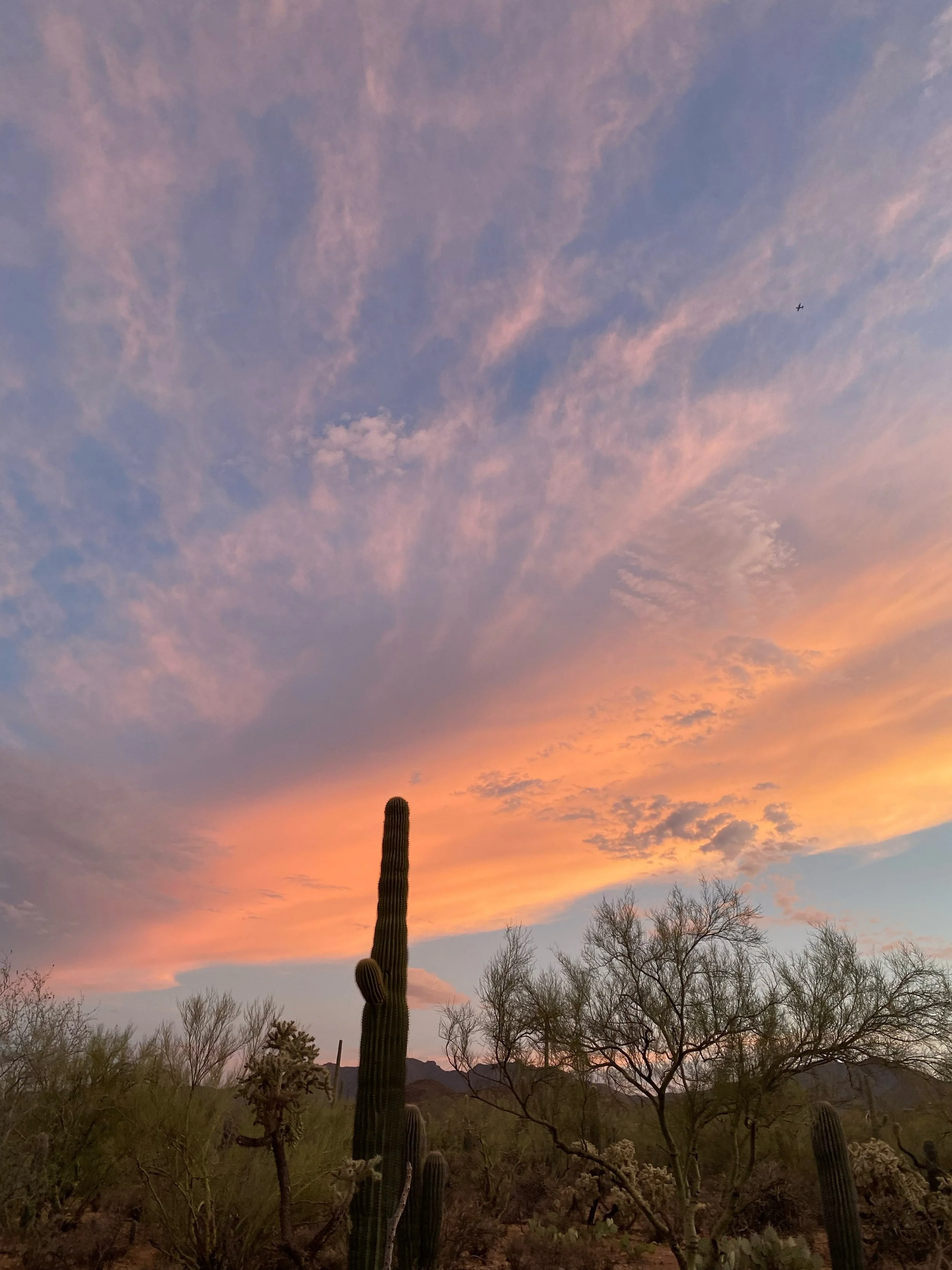 Last light last night #heavenathomeintucson