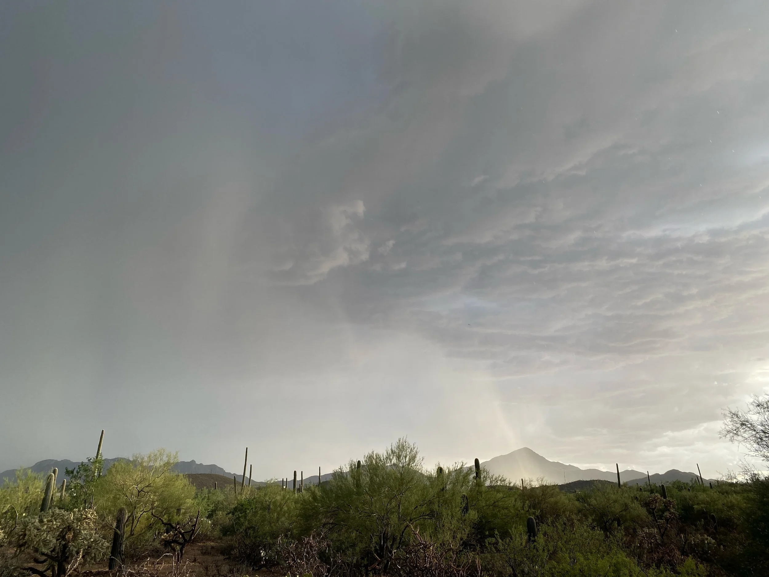 Late day monsoon storms passing over the Tucson Mountains: grateful for the rain coming to our area this late in the summer season
#heavenathomeintucson
