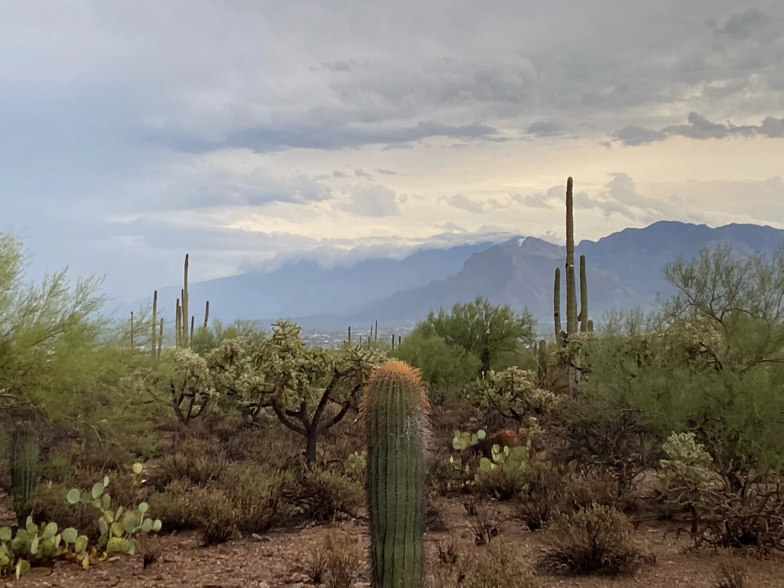 A brief moment of calm between storms that rocked the Old Pueblo today. #heavenathomeintucson