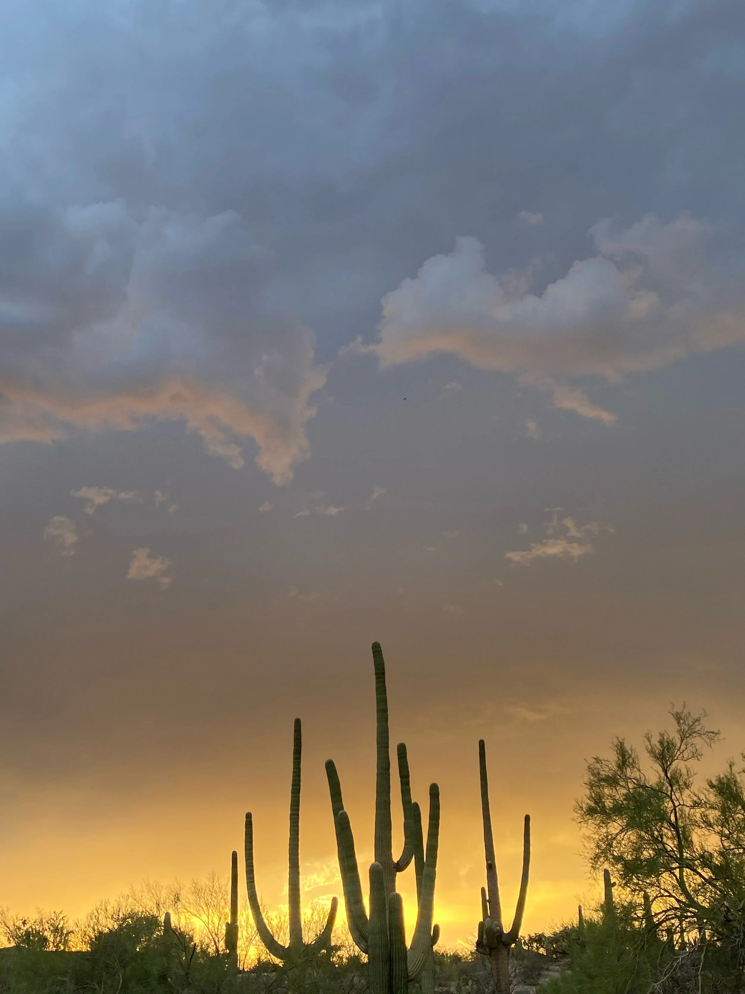 Twilight approaches, late summer monsoon skies #heavenathomeintucson
