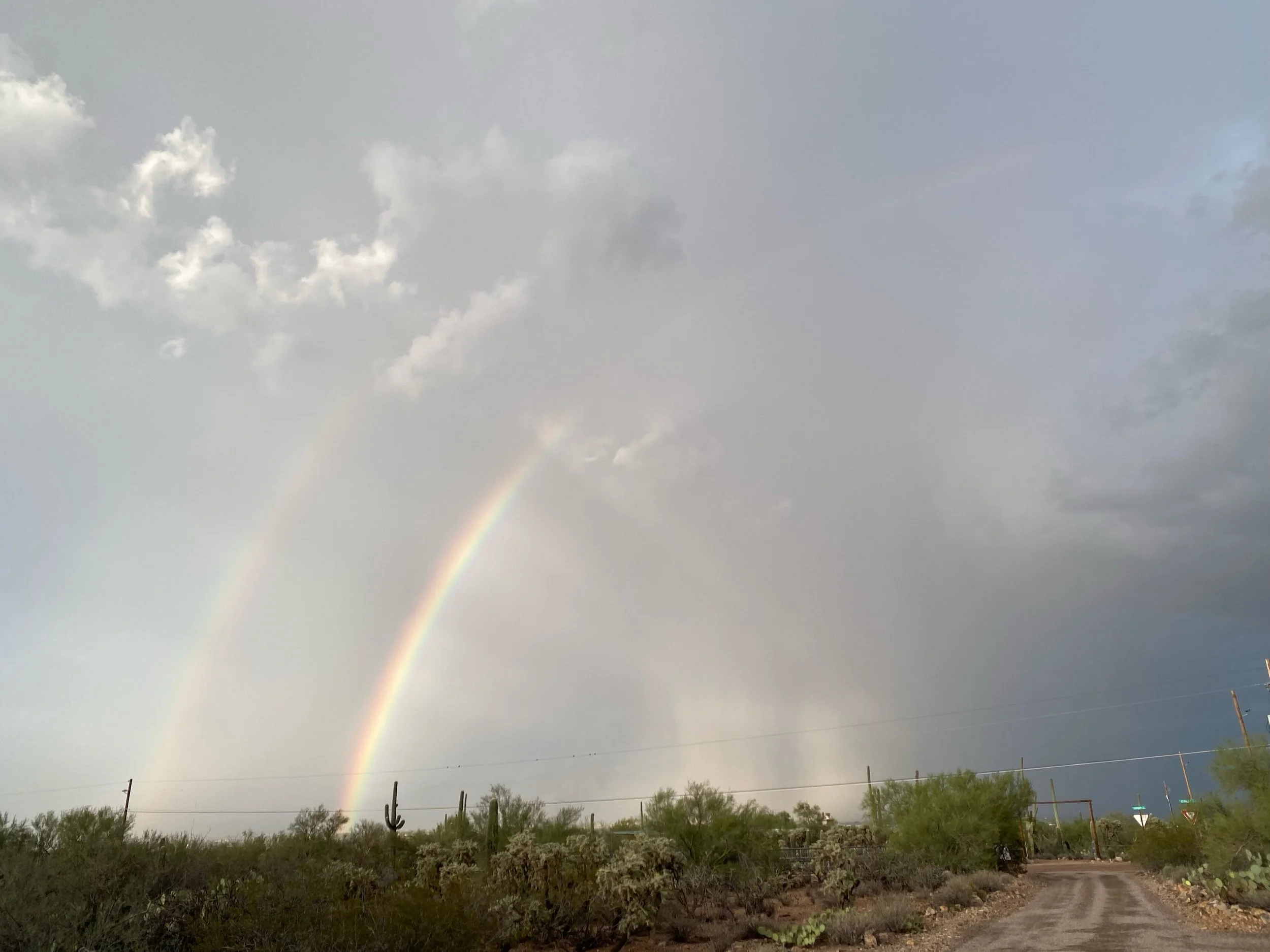 Late monsoon season storms continue to roll across Southern Arizona bringing much needed rain to the Sonoran Desert #heavenathomeintucson