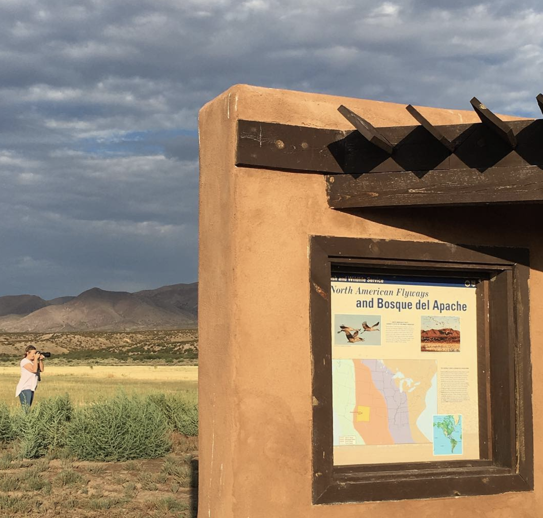 July 31, 2016 - 

@katebreakey_artist at work #sfpwroadtrip #mvsontheroad