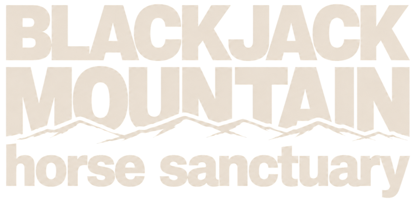 Black Jack Mountain
