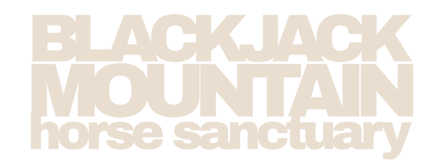 Black Jack Mountain