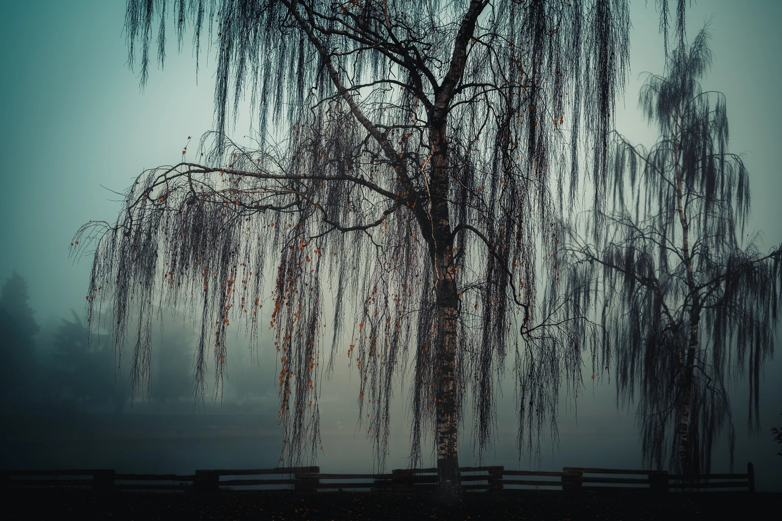 Fog Dancer