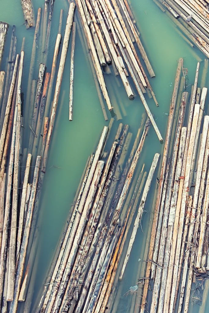River of Timber