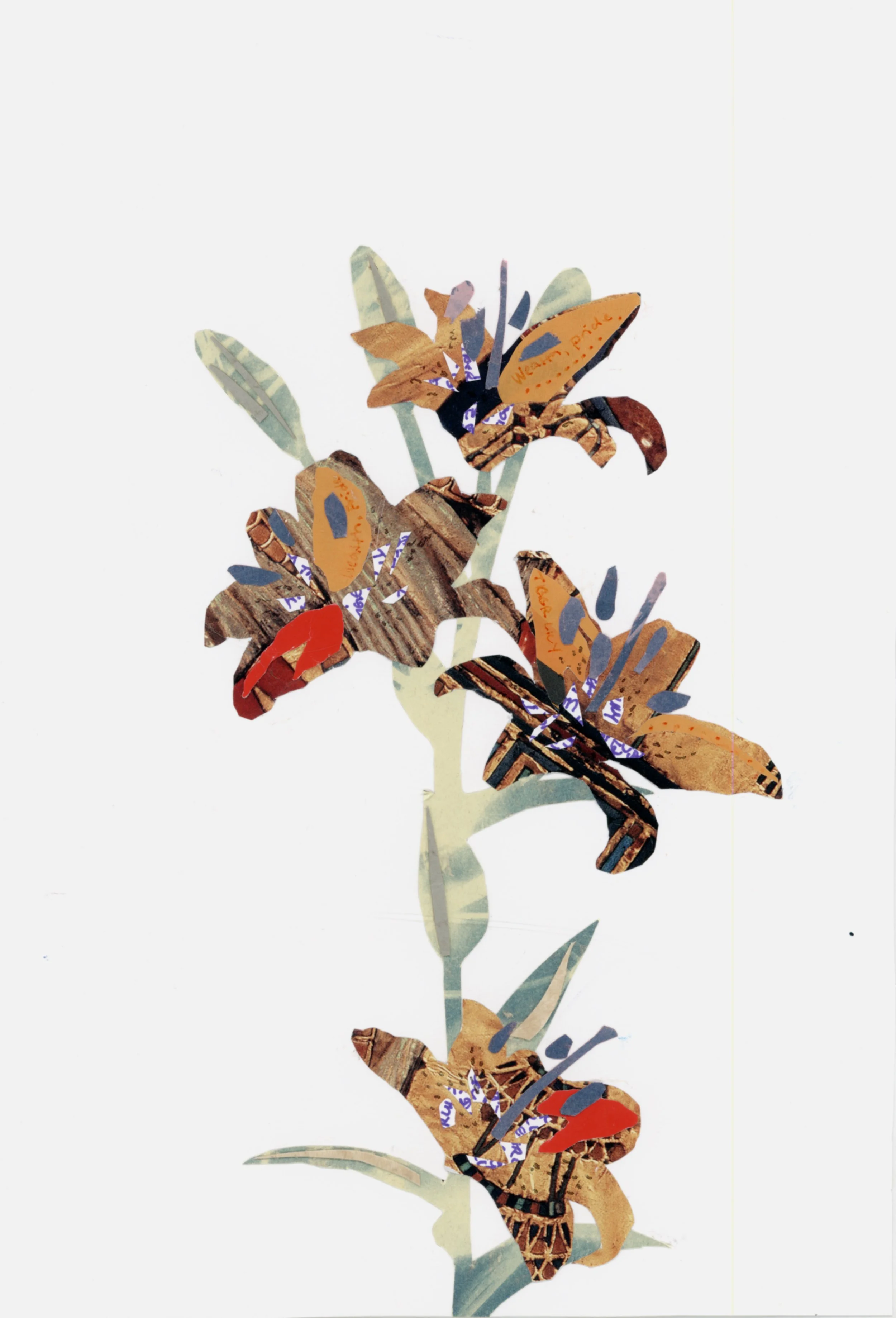 "Tiger Lily"
Scanned Physical Collage
19"x13"
2026