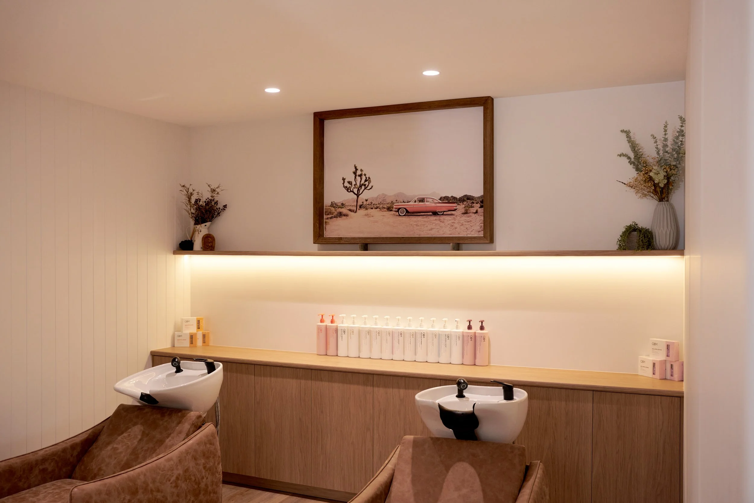 A hair salon or spa interior with two hair washing stations, a countertop with hair care products, a framed desert landscape picture, two leafy vases, and brown chairs