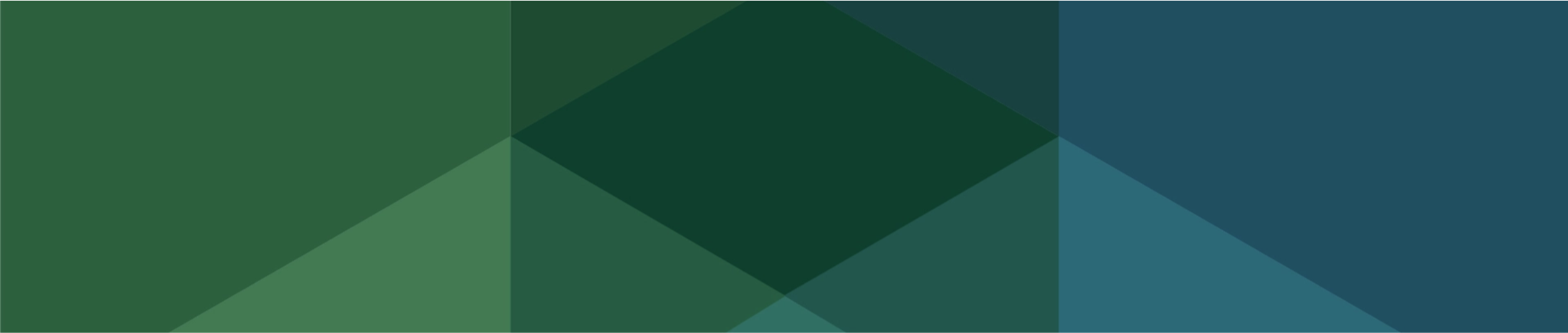 test bg agexpert.png