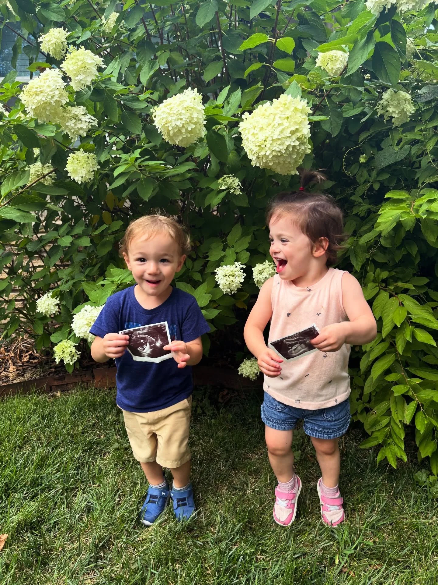 Just one this time🤪 baby #3 coming January 2027!