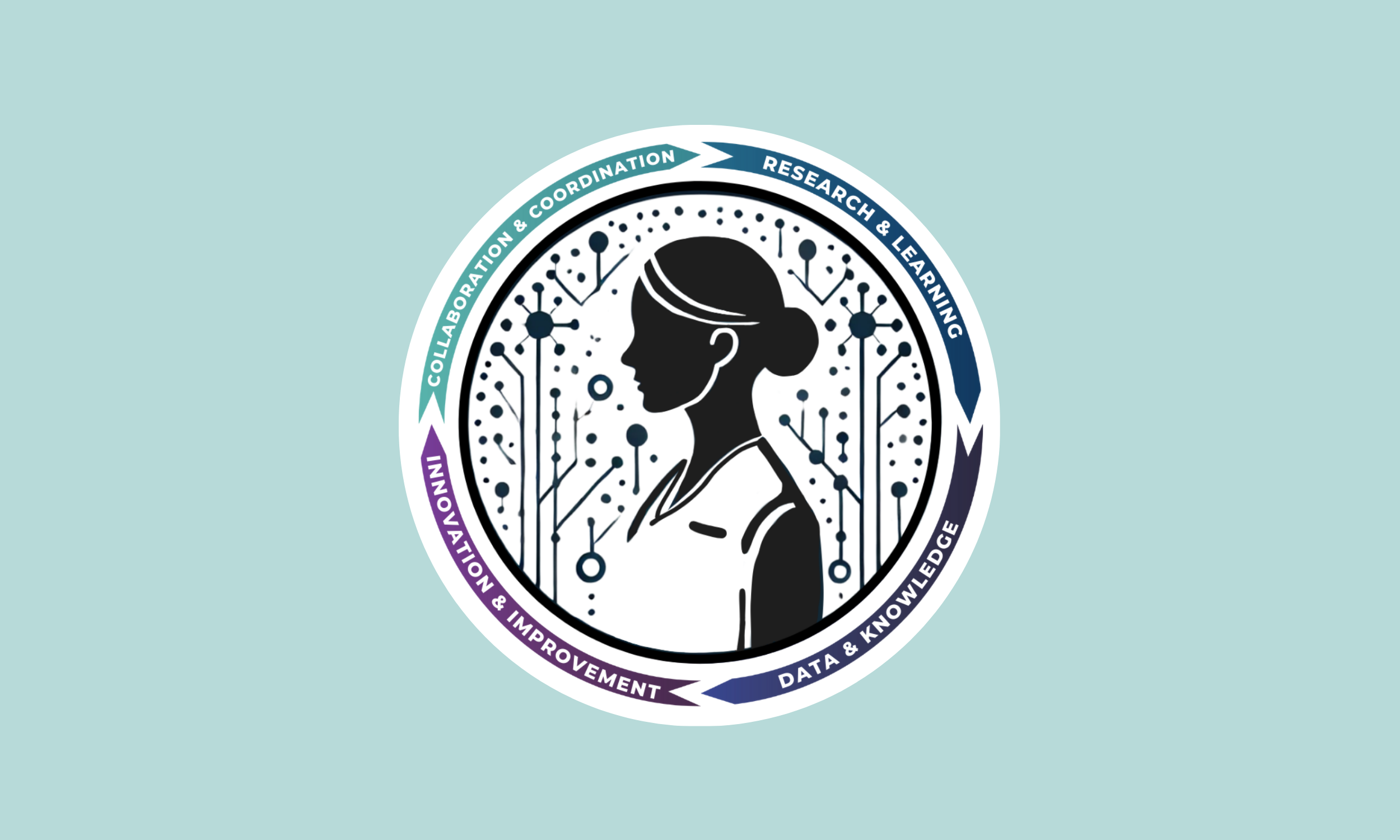 The OnSPARK LTC Data Platform: Leveraging interRAI to Build a Learning Health System for Long-Term Care