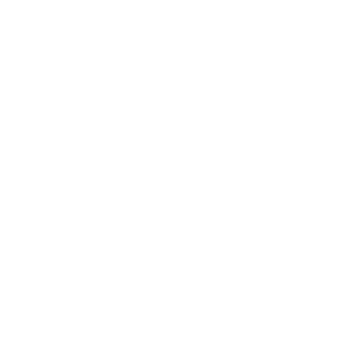 A shield with a lock displayed on it.