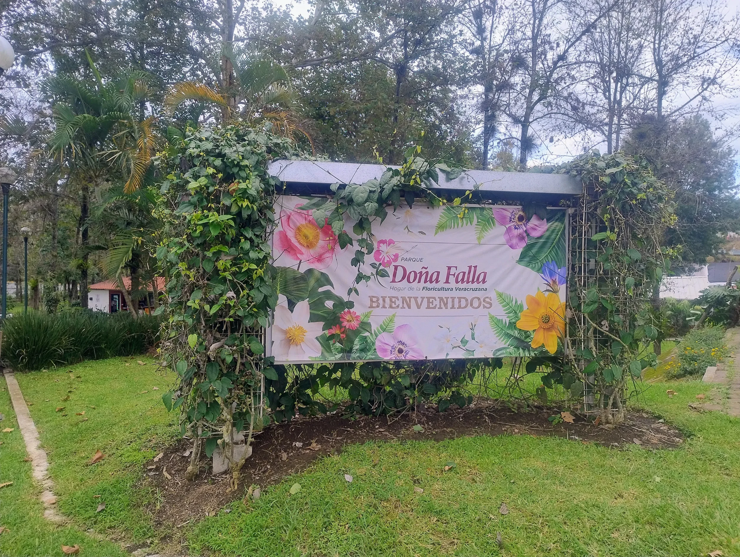 Parque Doña Falla (Paisajismo Biocultural y Polinizadores)