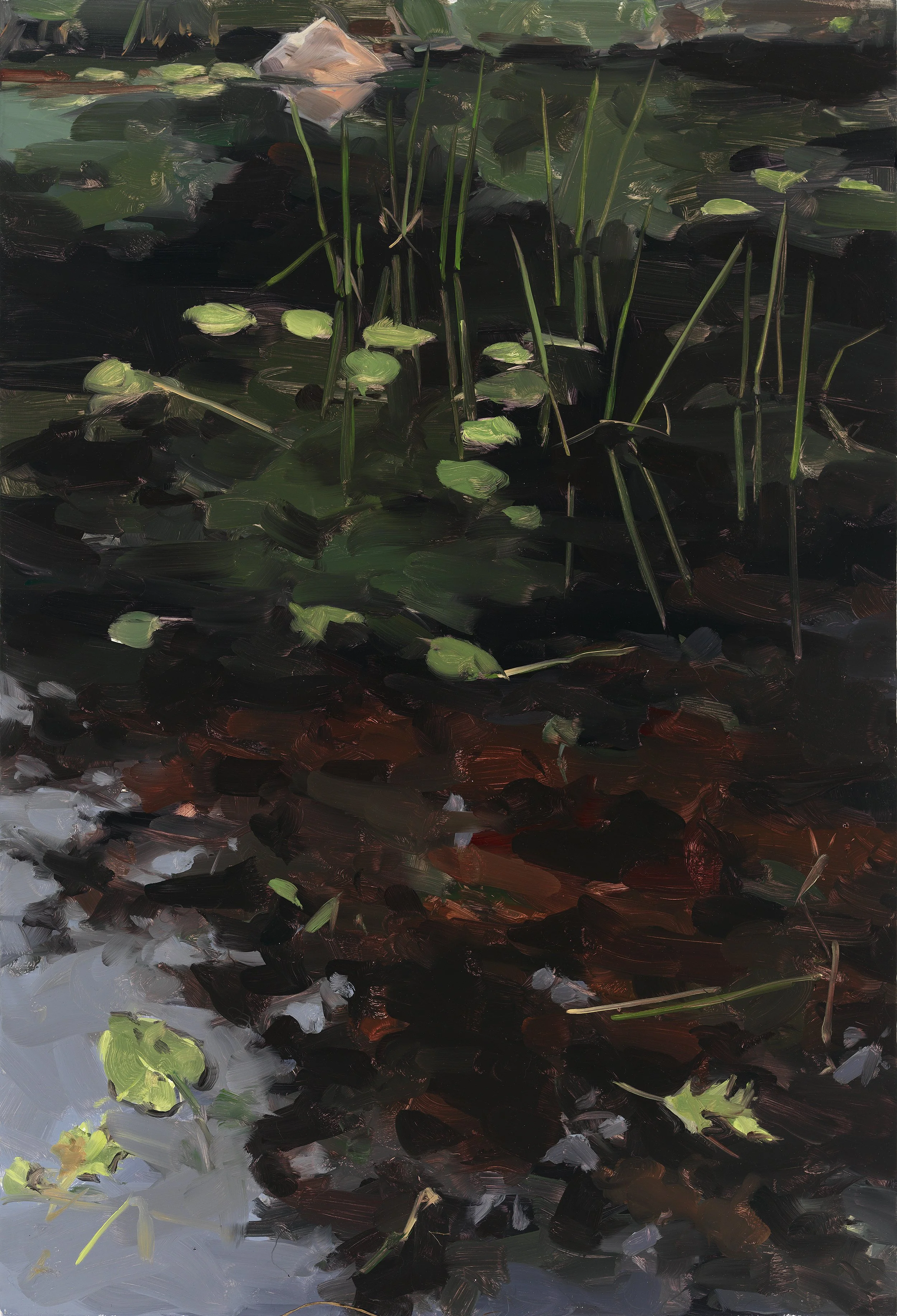 Ice House Pond-web.jpg