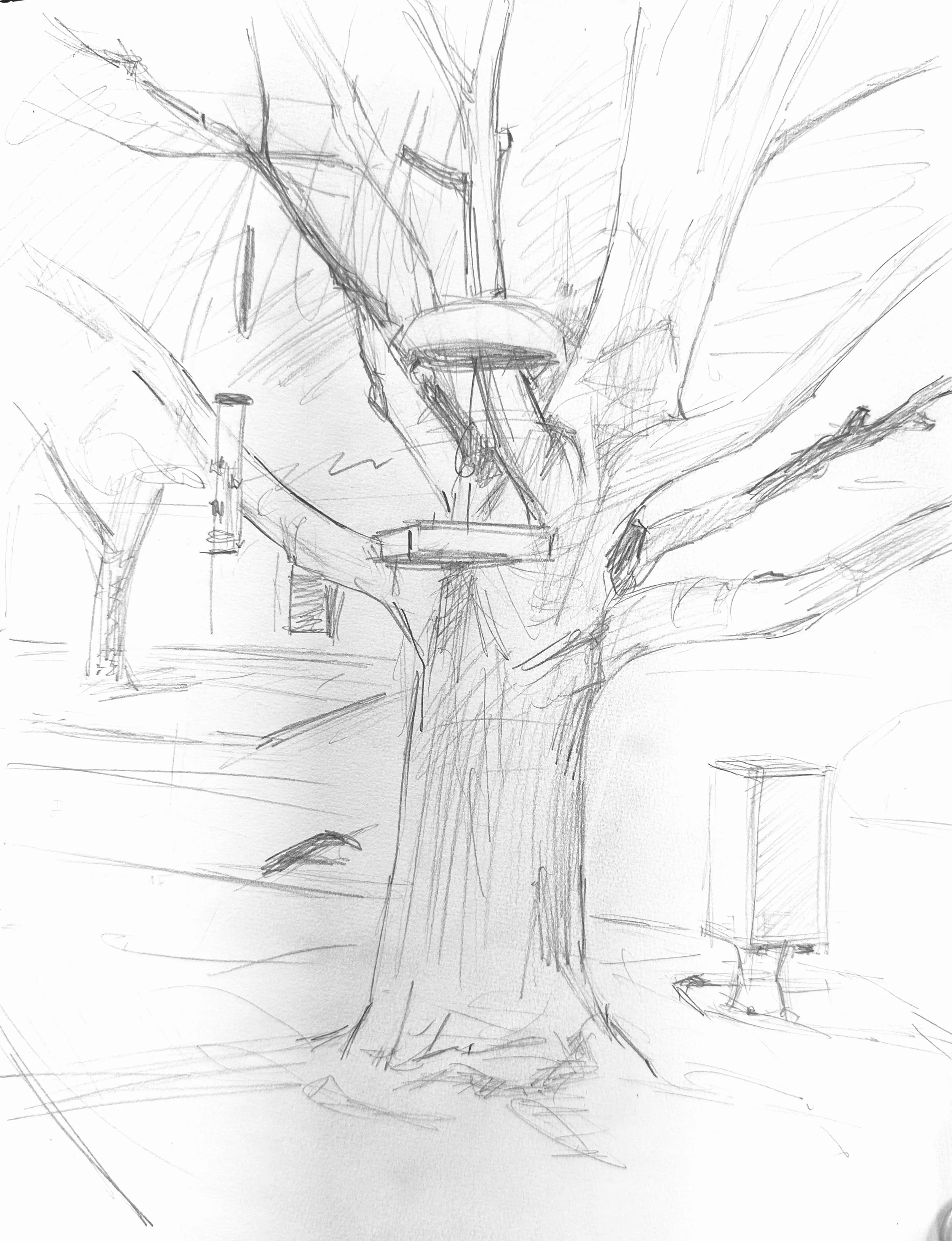 Dad_s Tree, Iowa, 2025.jpg