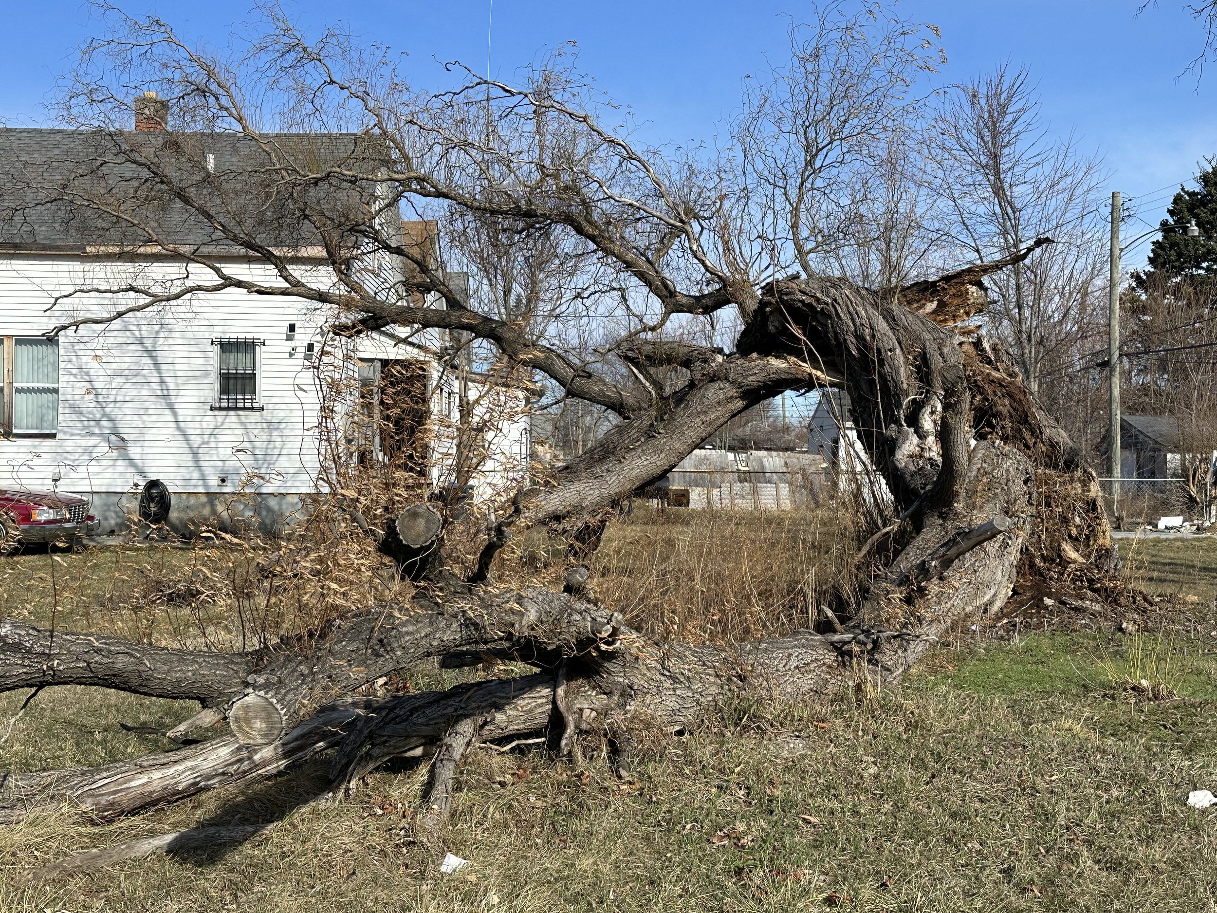 Gnarly, 2026.jpg