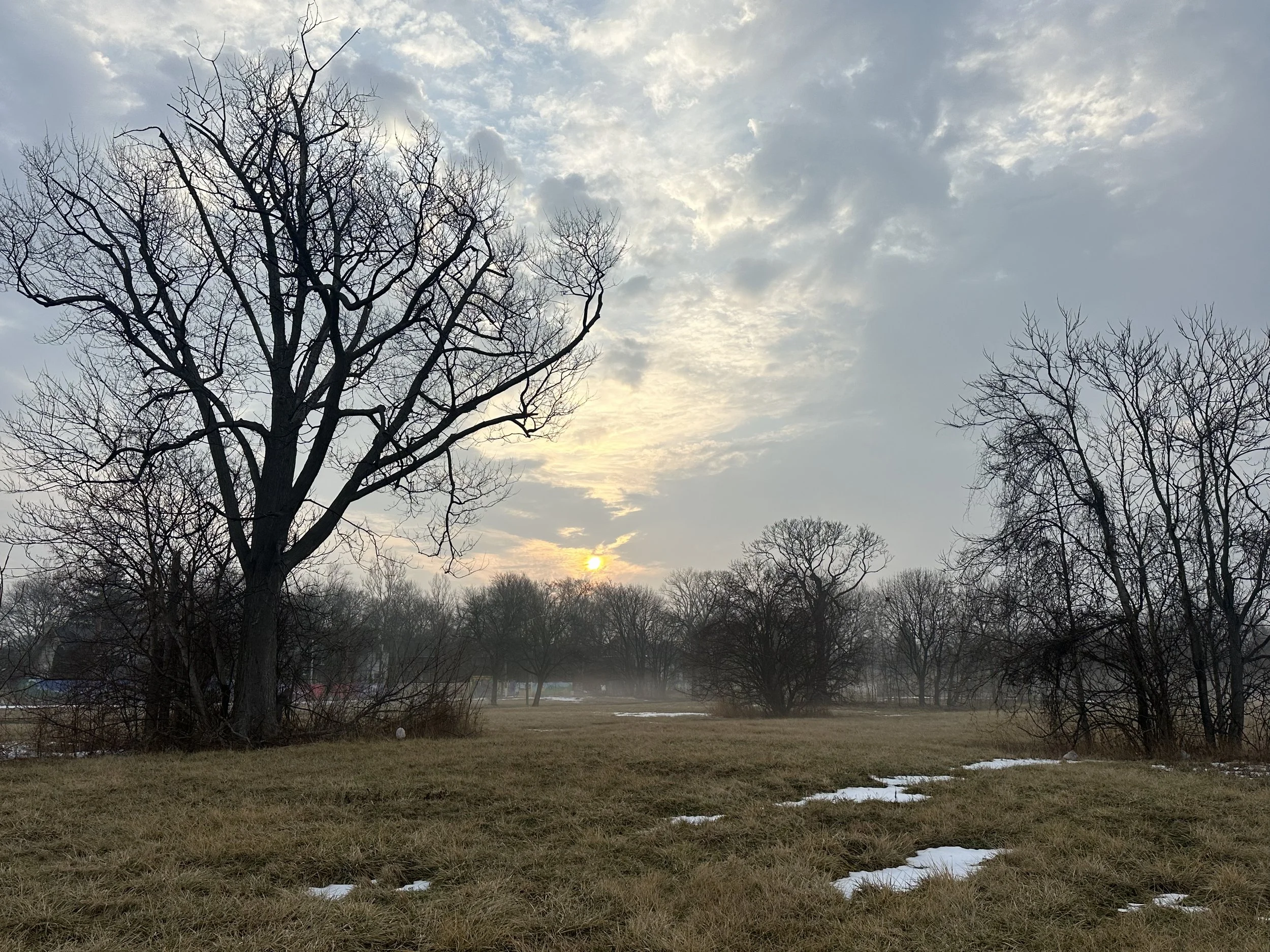 Pastoral Detroit, 2026.jpg