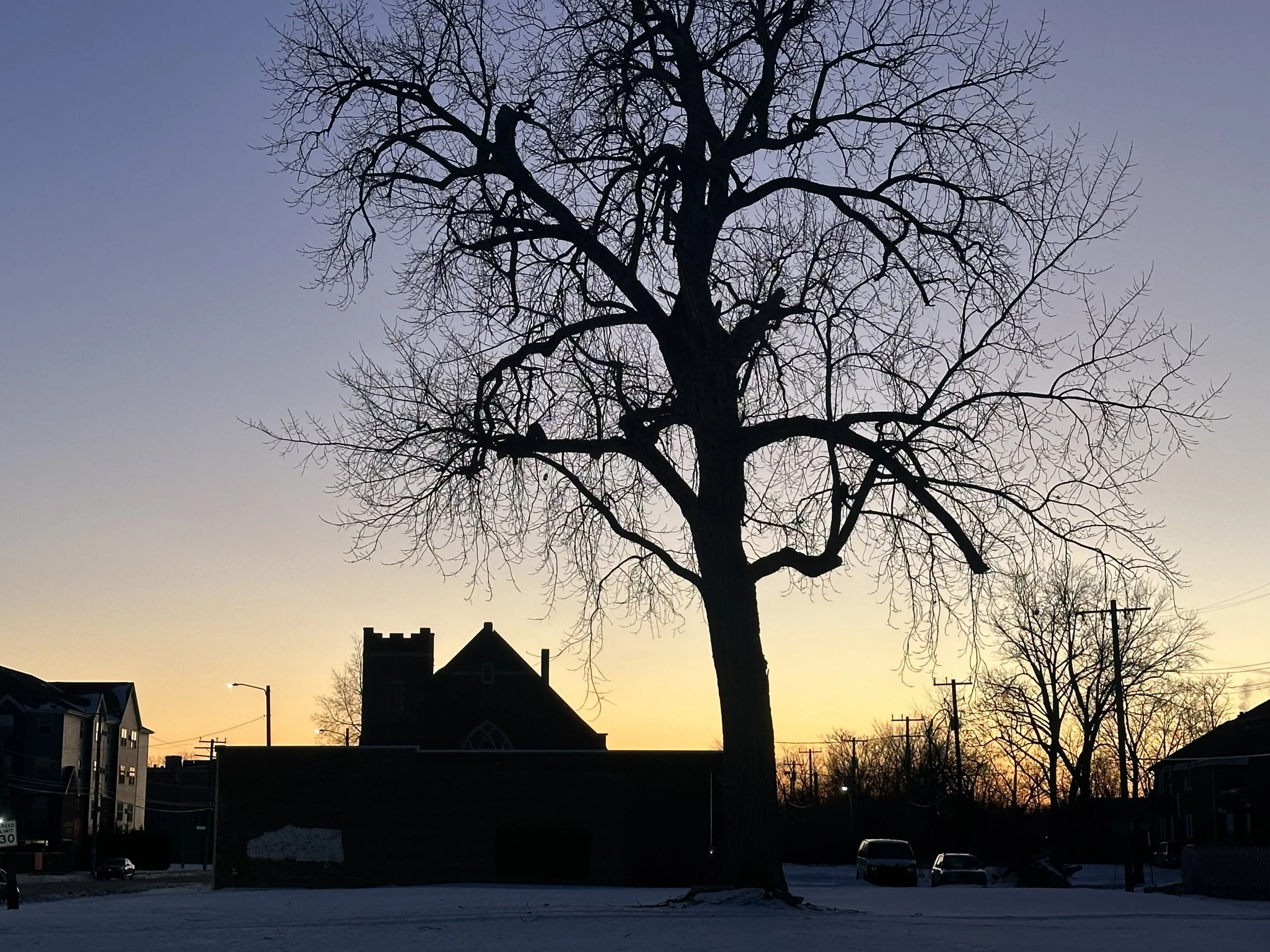 Chalmers Winter Sunset, 2026.jpg