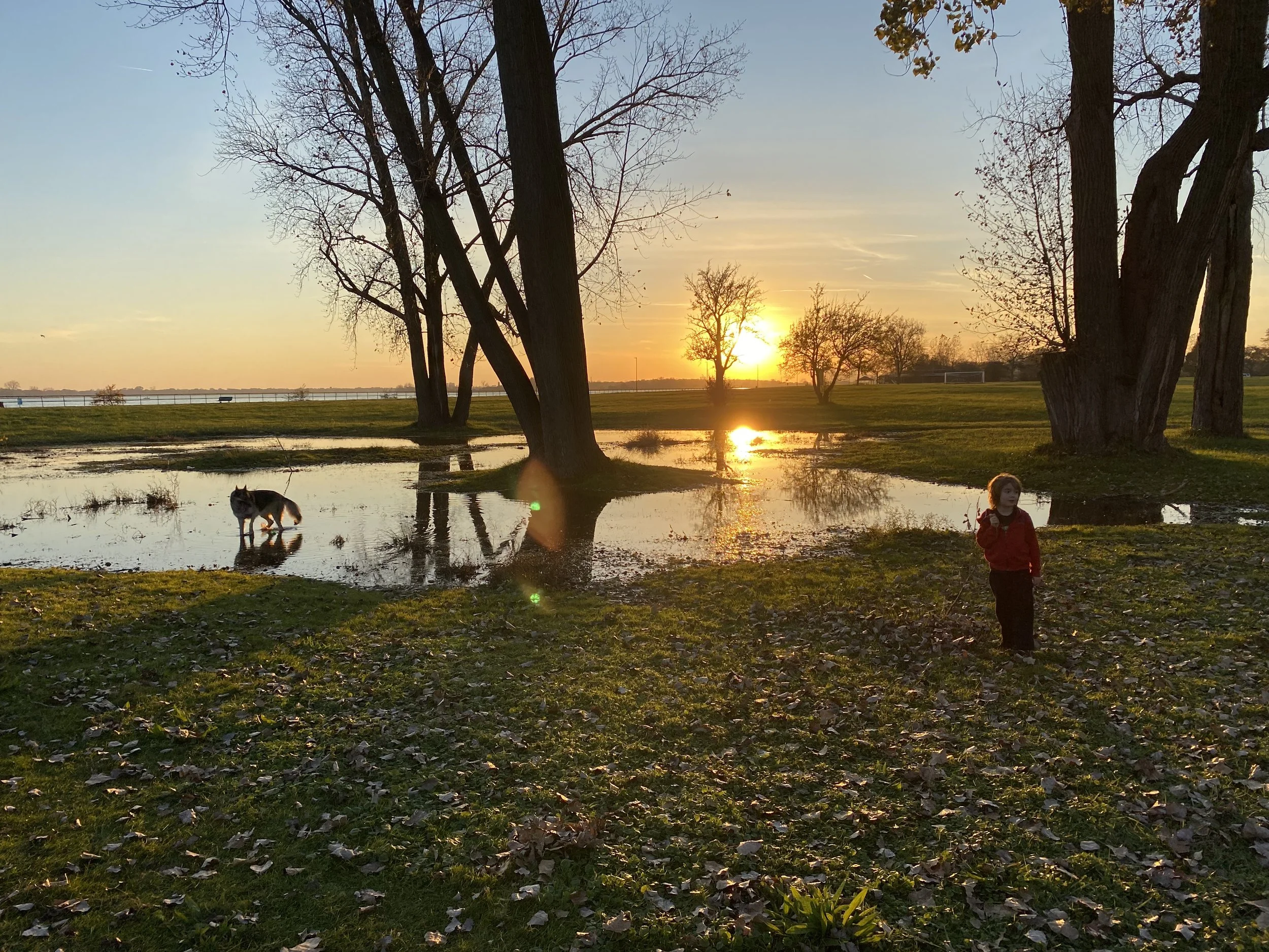 AB Ford Sunset w: the Boys, 2021.jpg