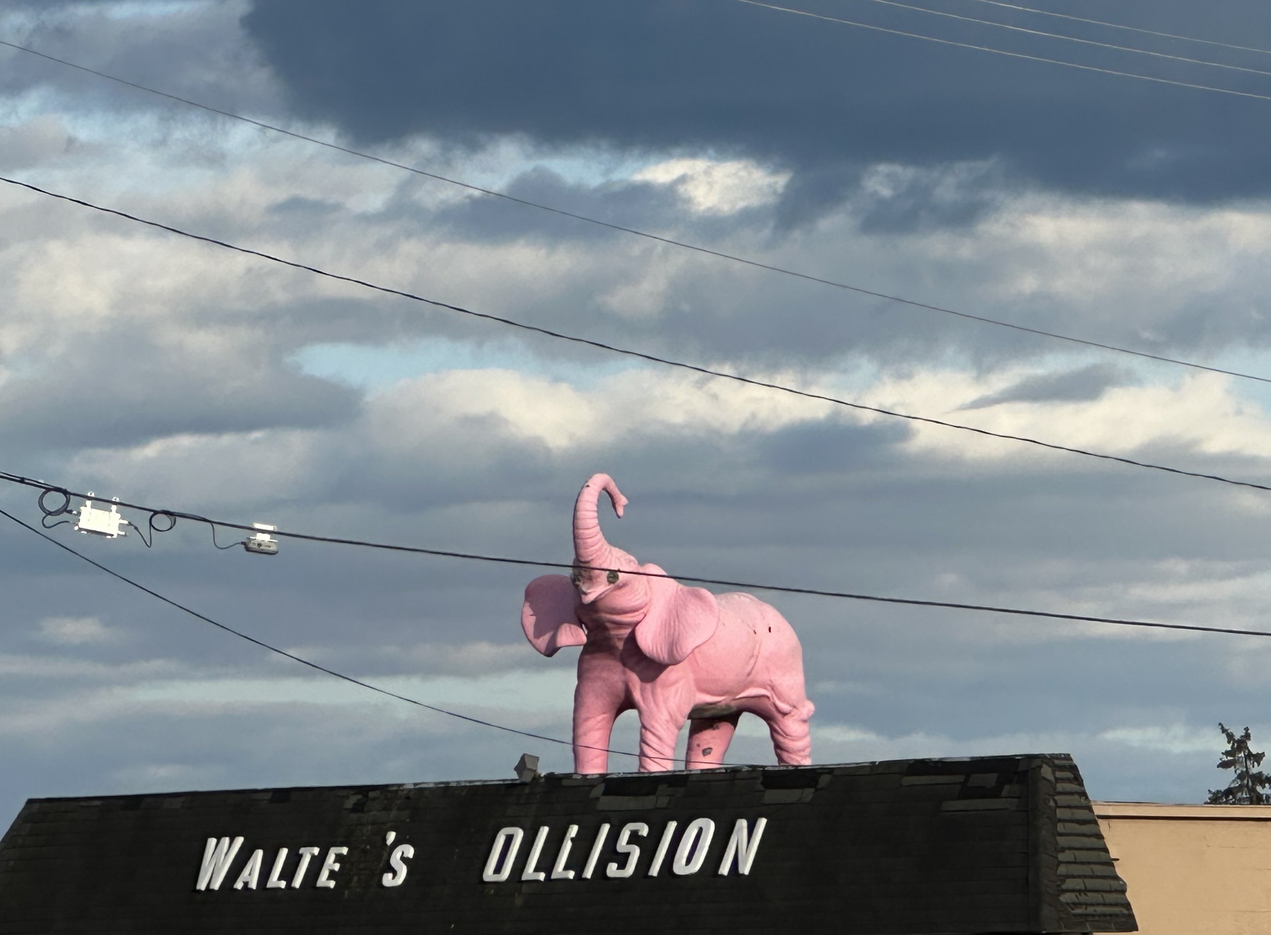 Fraser, MI 2025.jpg