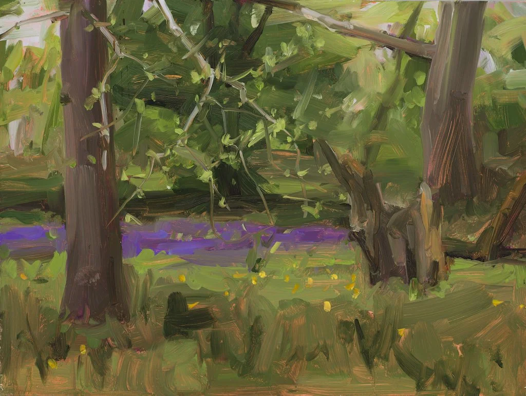 Purple Loosestrife.JPG