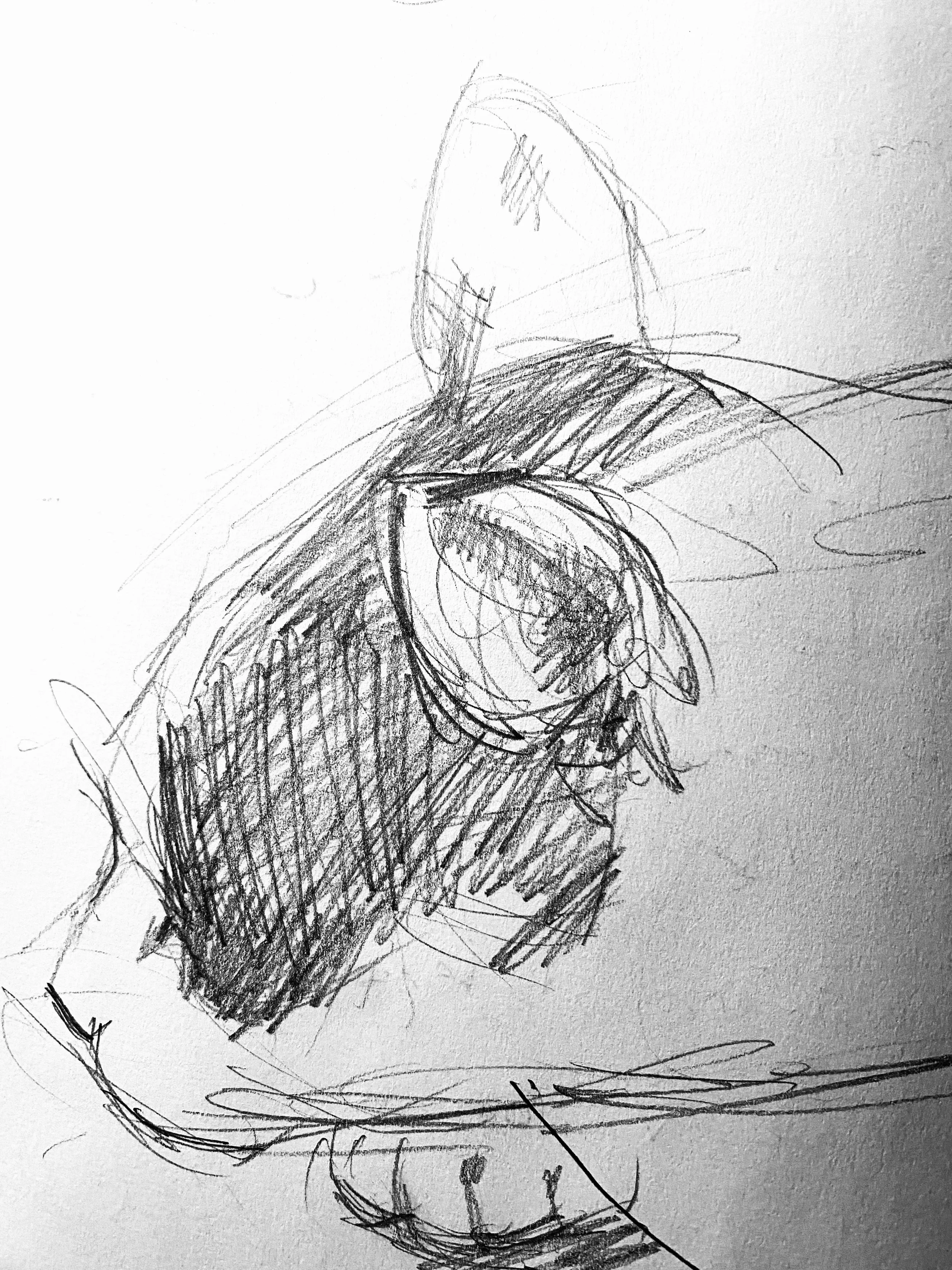 Pip Resting Profile.jpg