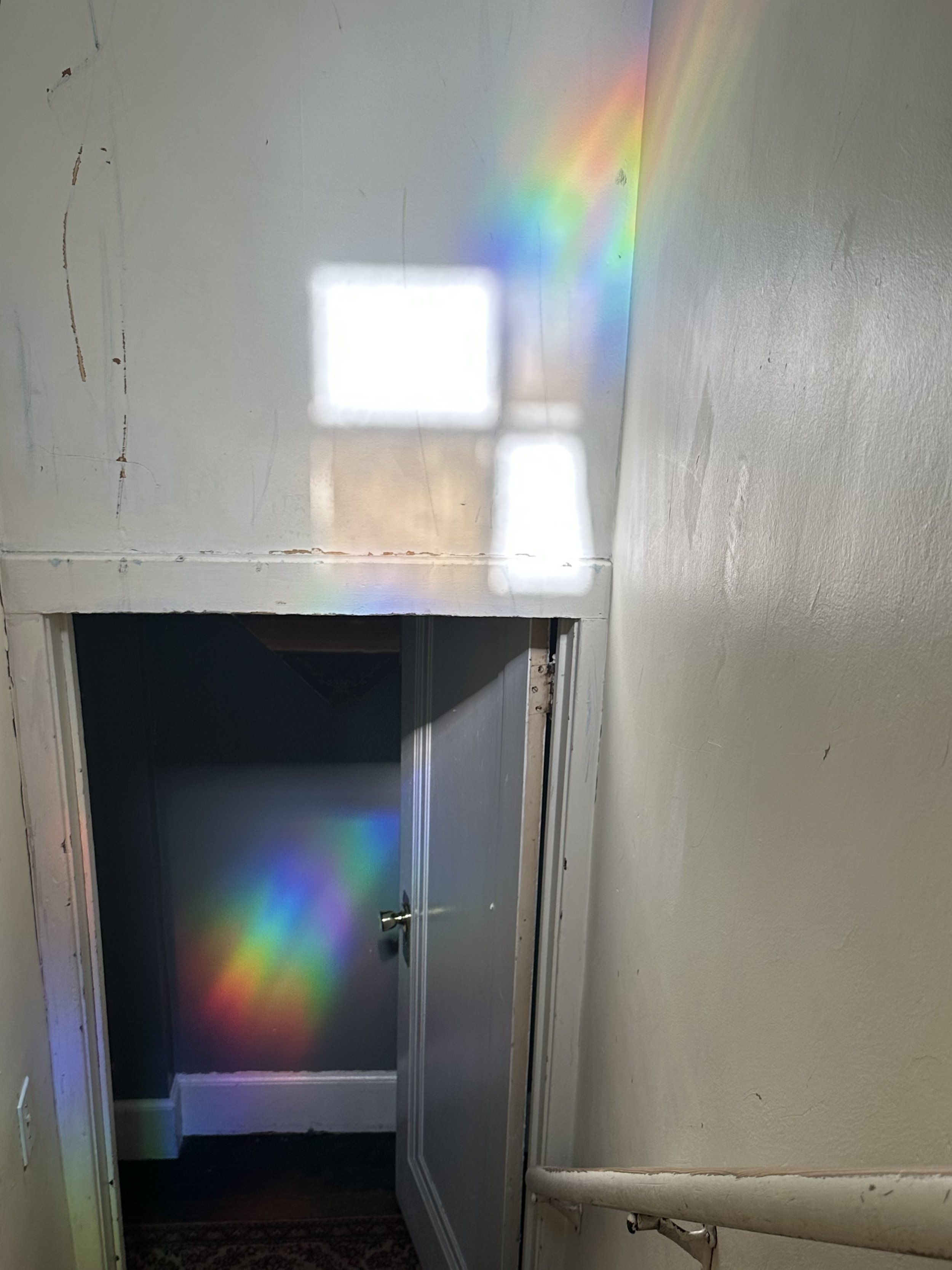 Lindsay's Rainbow, 2023.jpg