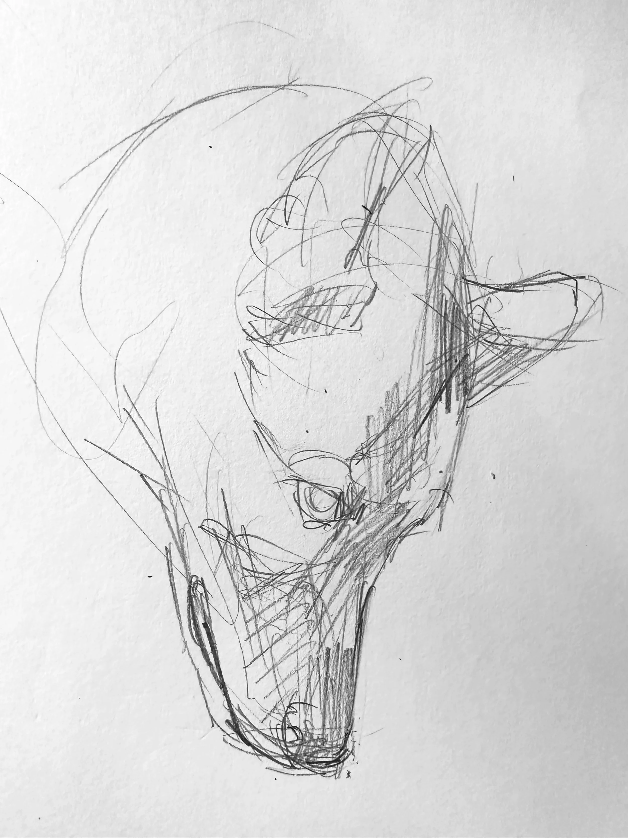 Smokey Profile.jpg