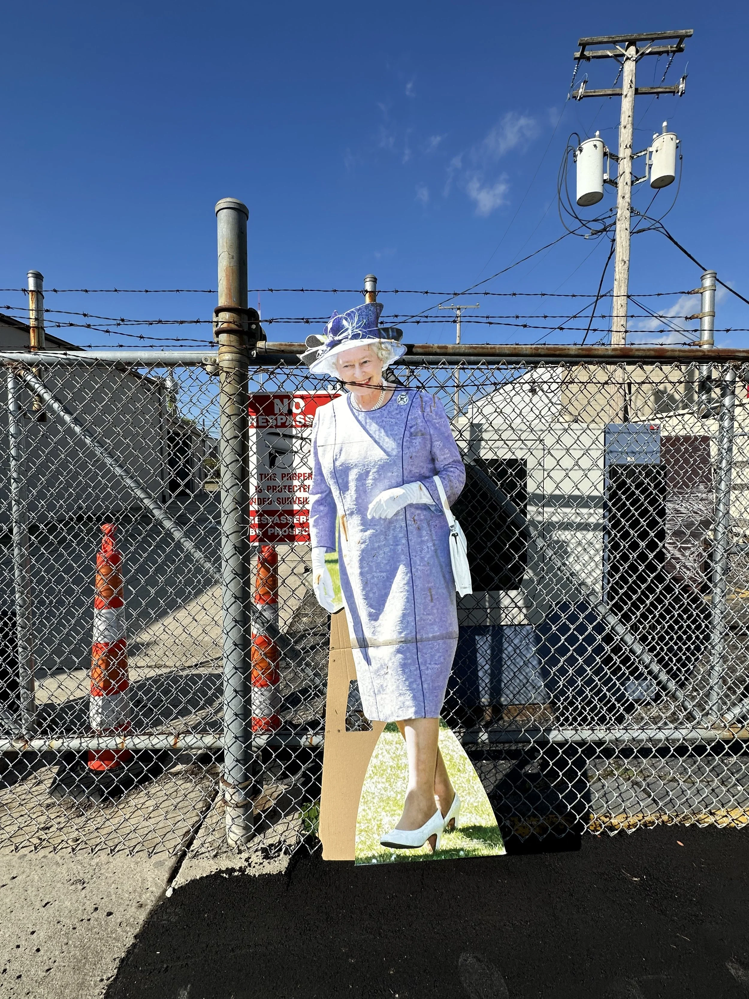 Queen Spotting, 2023.jpg