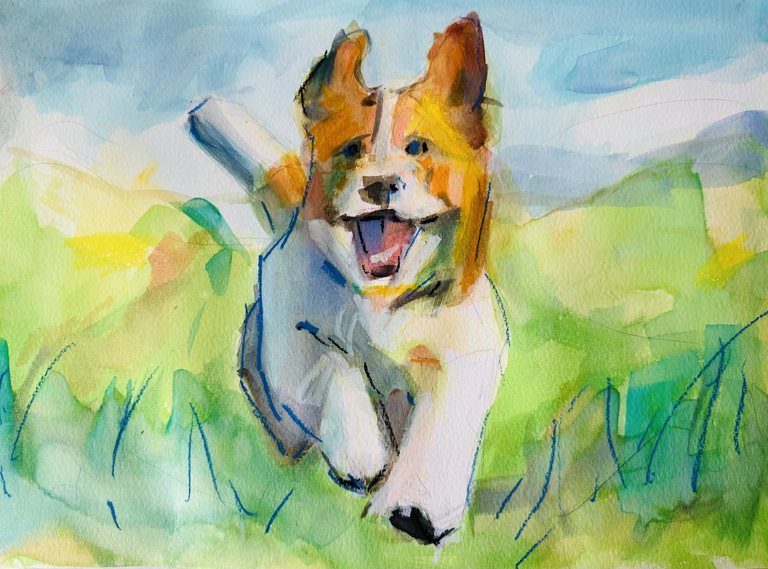 Springy Dog, 2025.jpg