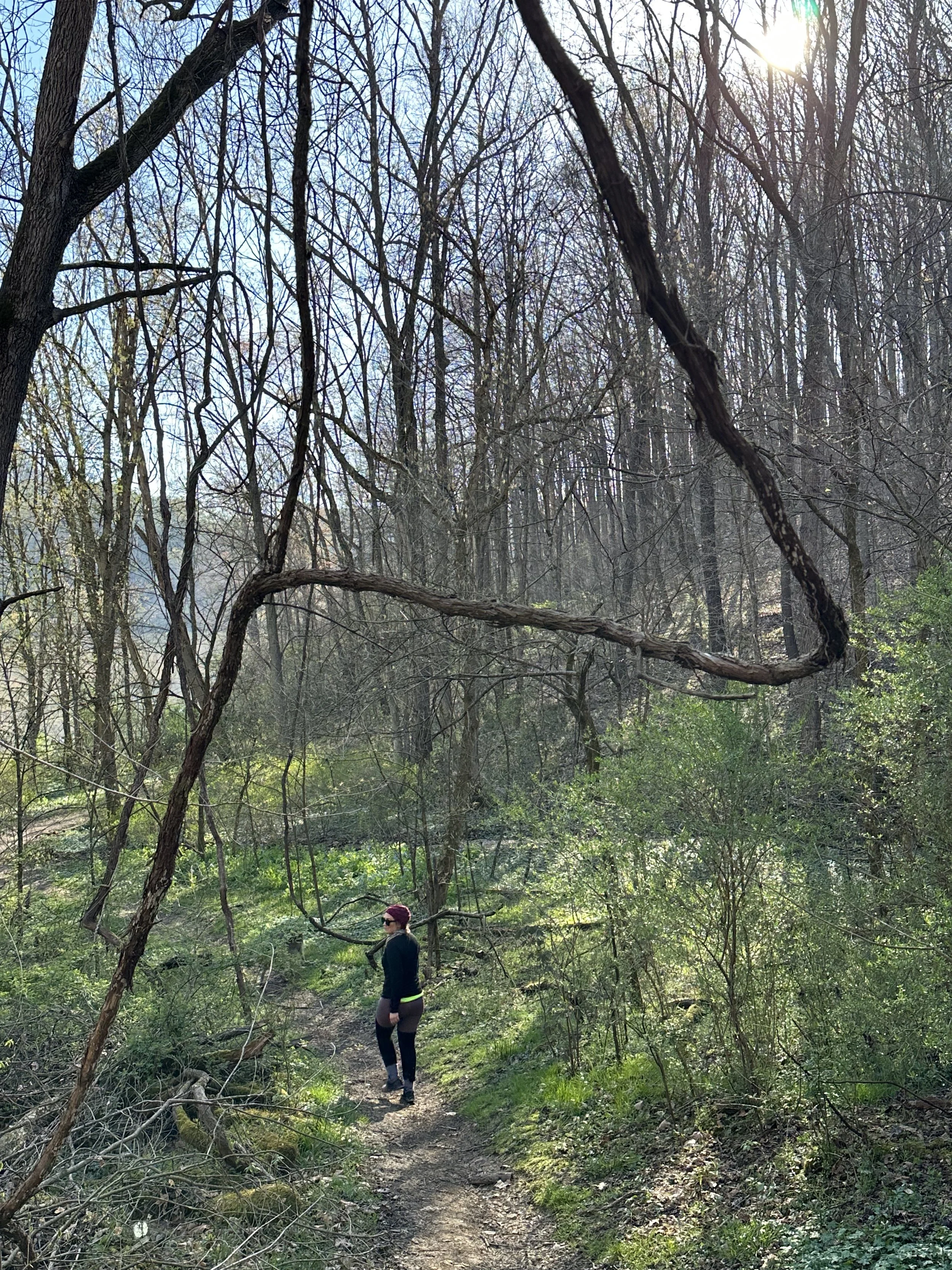 Stroud's Run, 2023.jpg