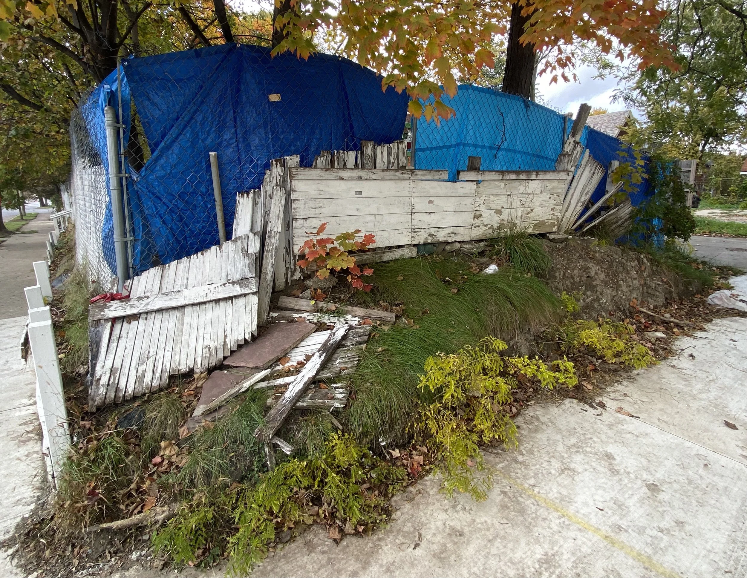 Tarp & Fence Arrangement, 2021.jpg