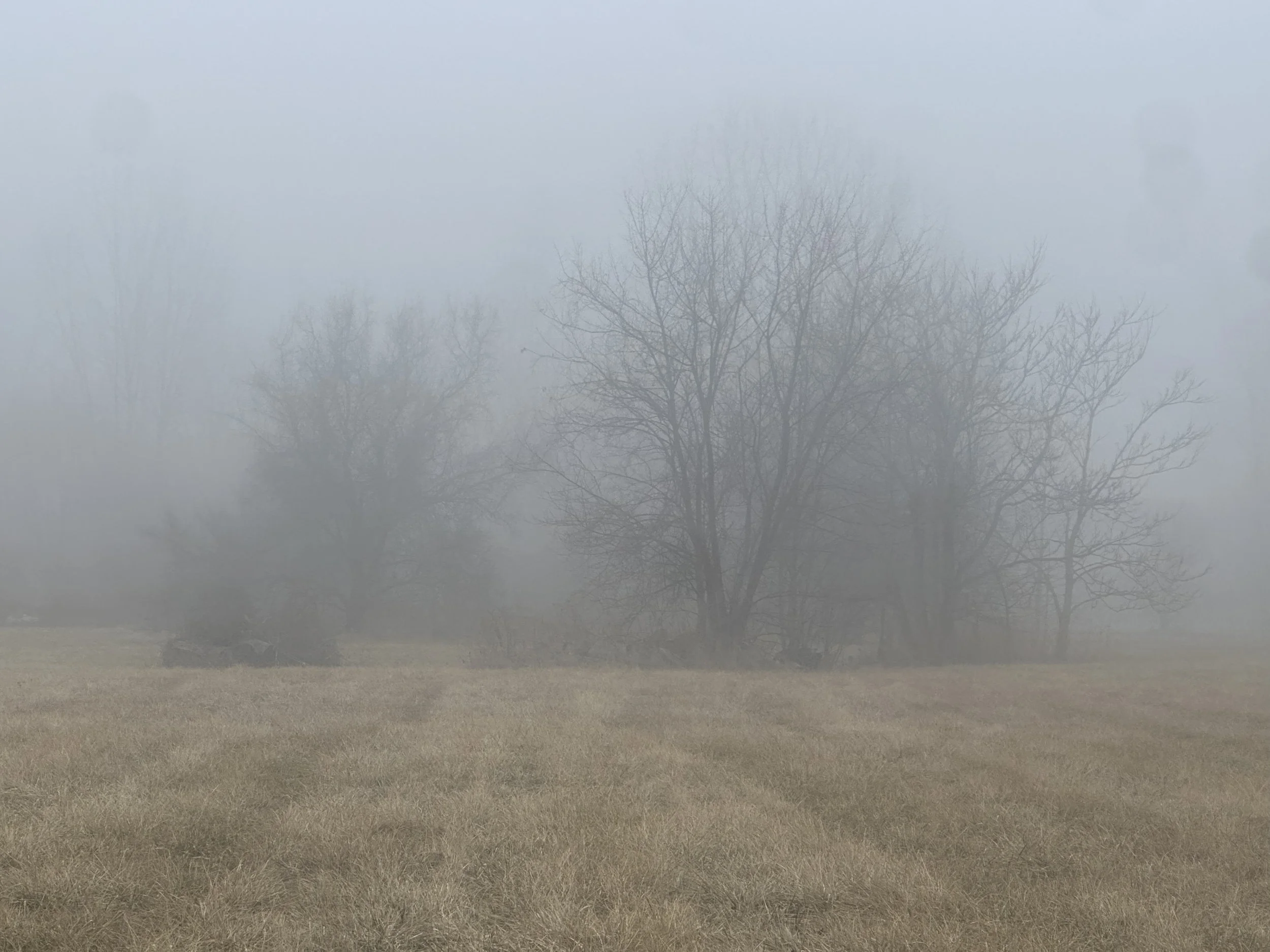 Chalmers Field Fog, 2026.jpg