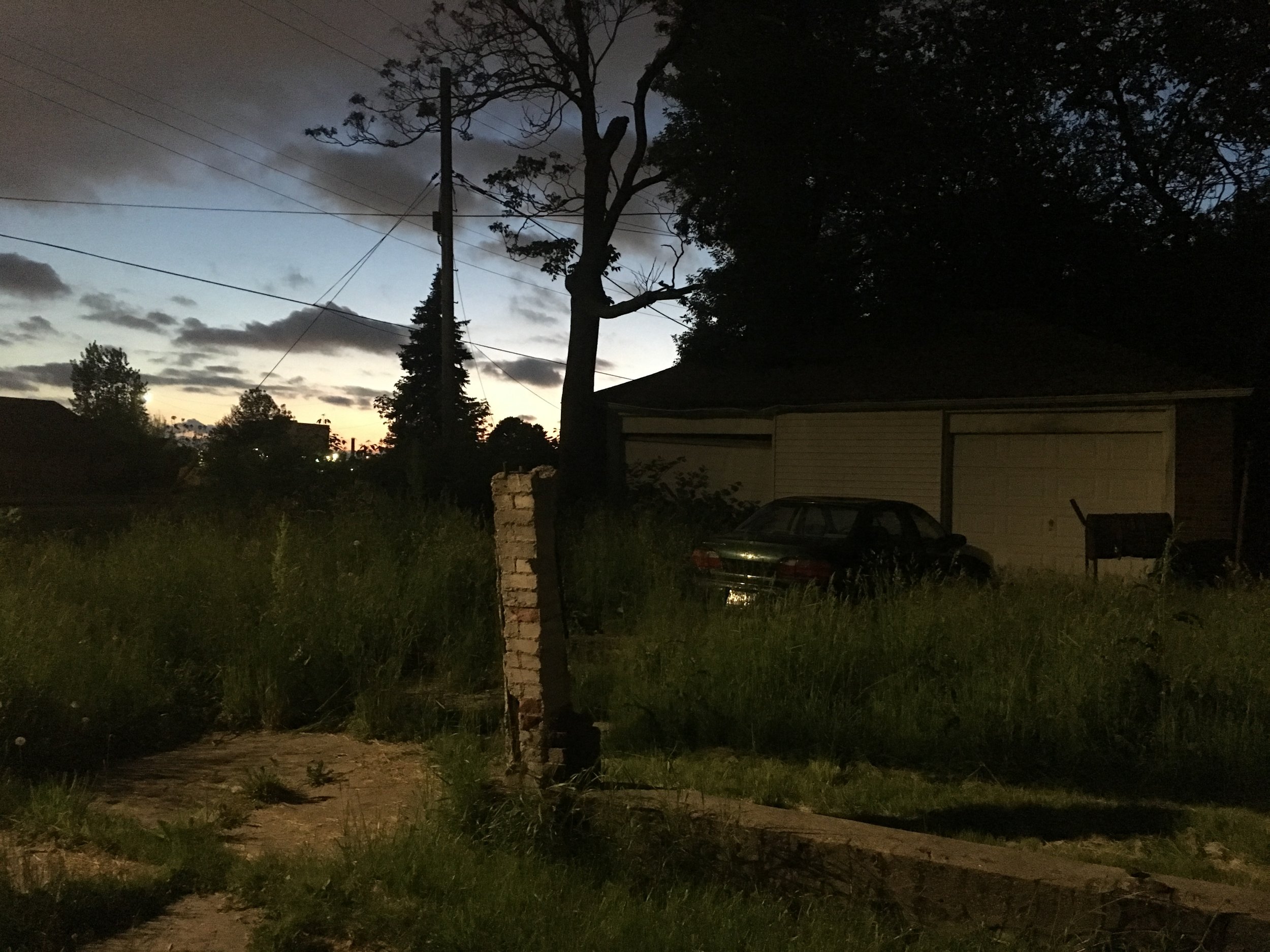 Freud Sundown, 2018.jpg