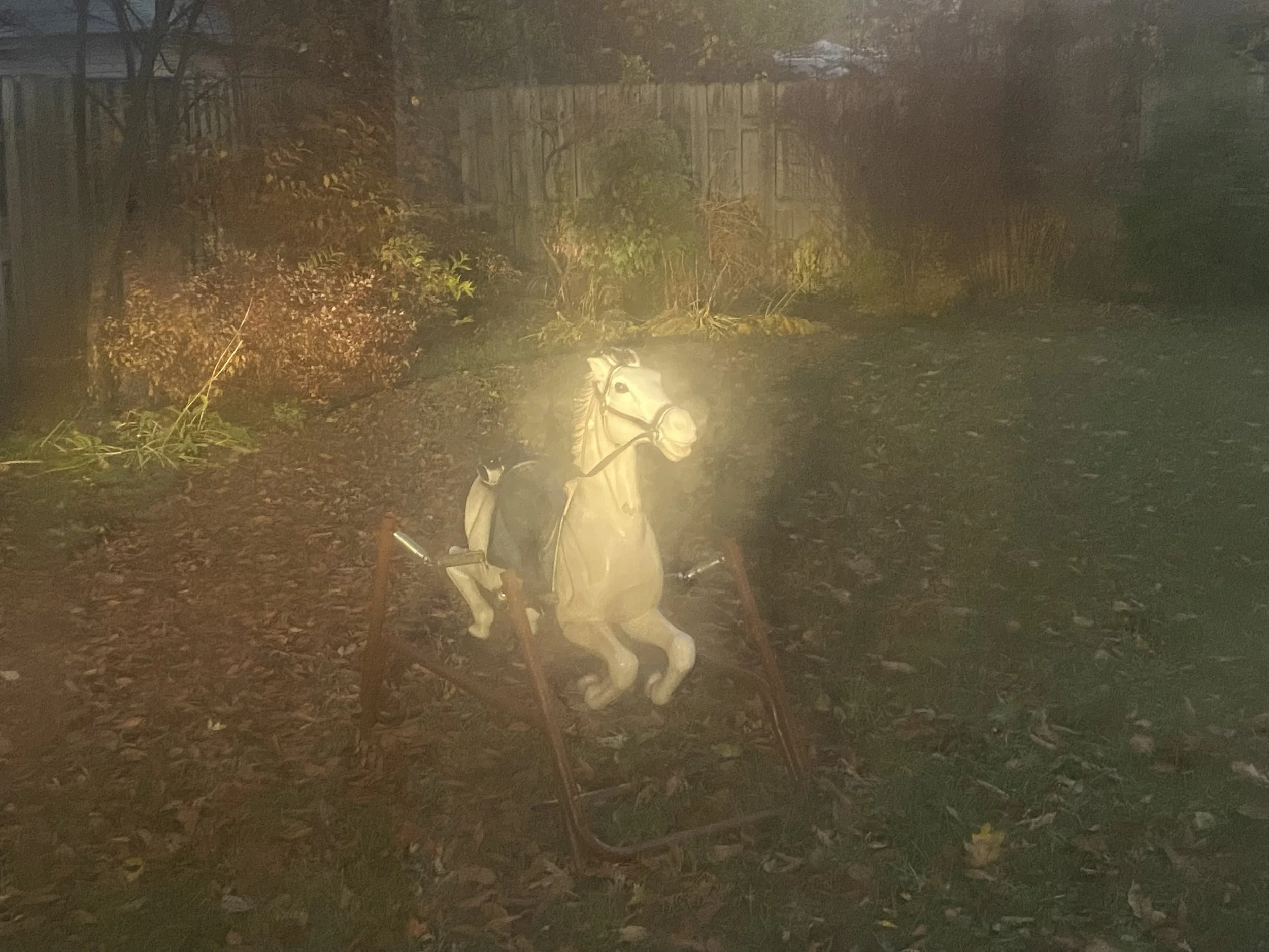 Fall Horse, 2022.jpg