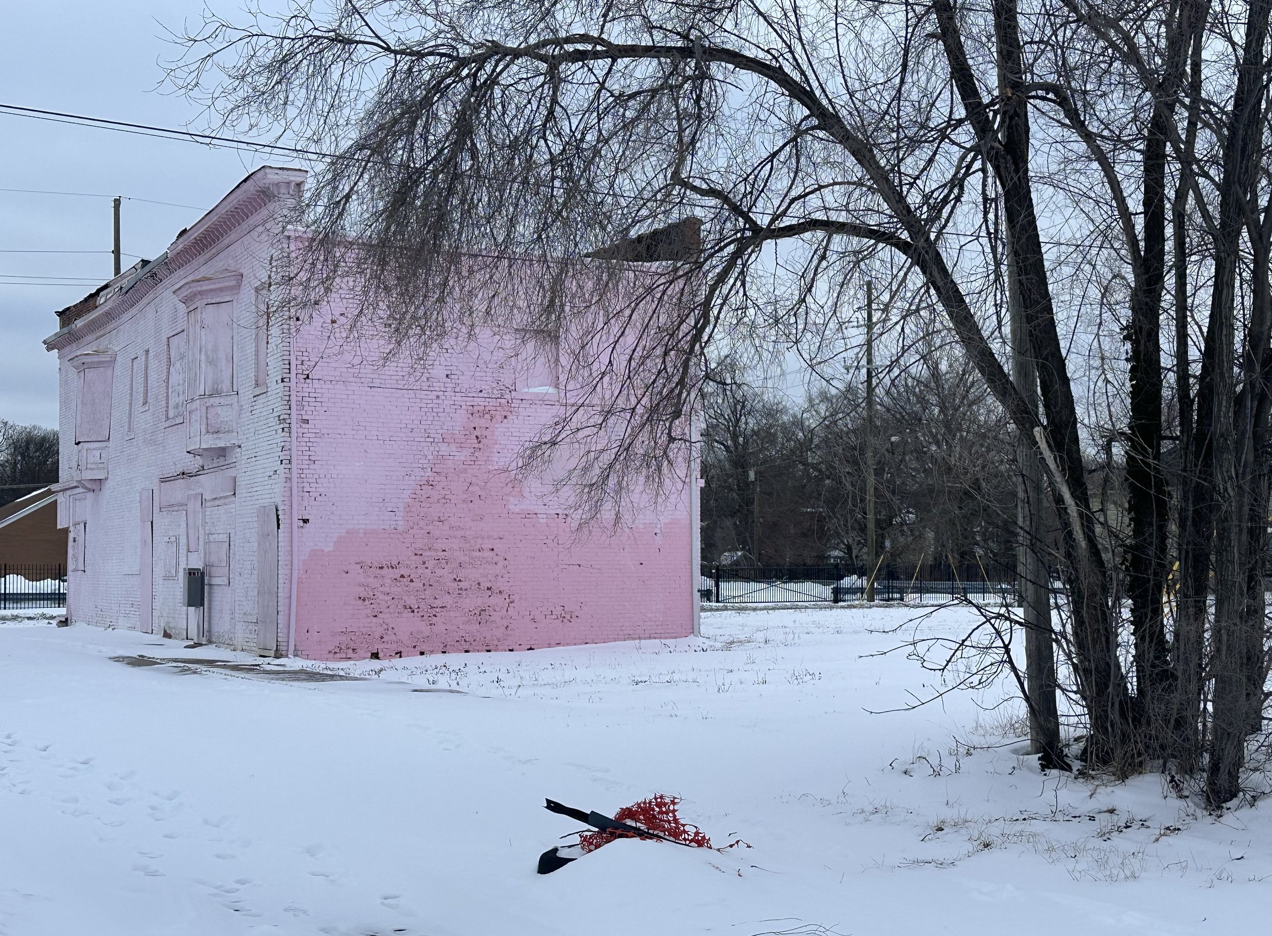 Pink Tones and Snow, 2026.jpg