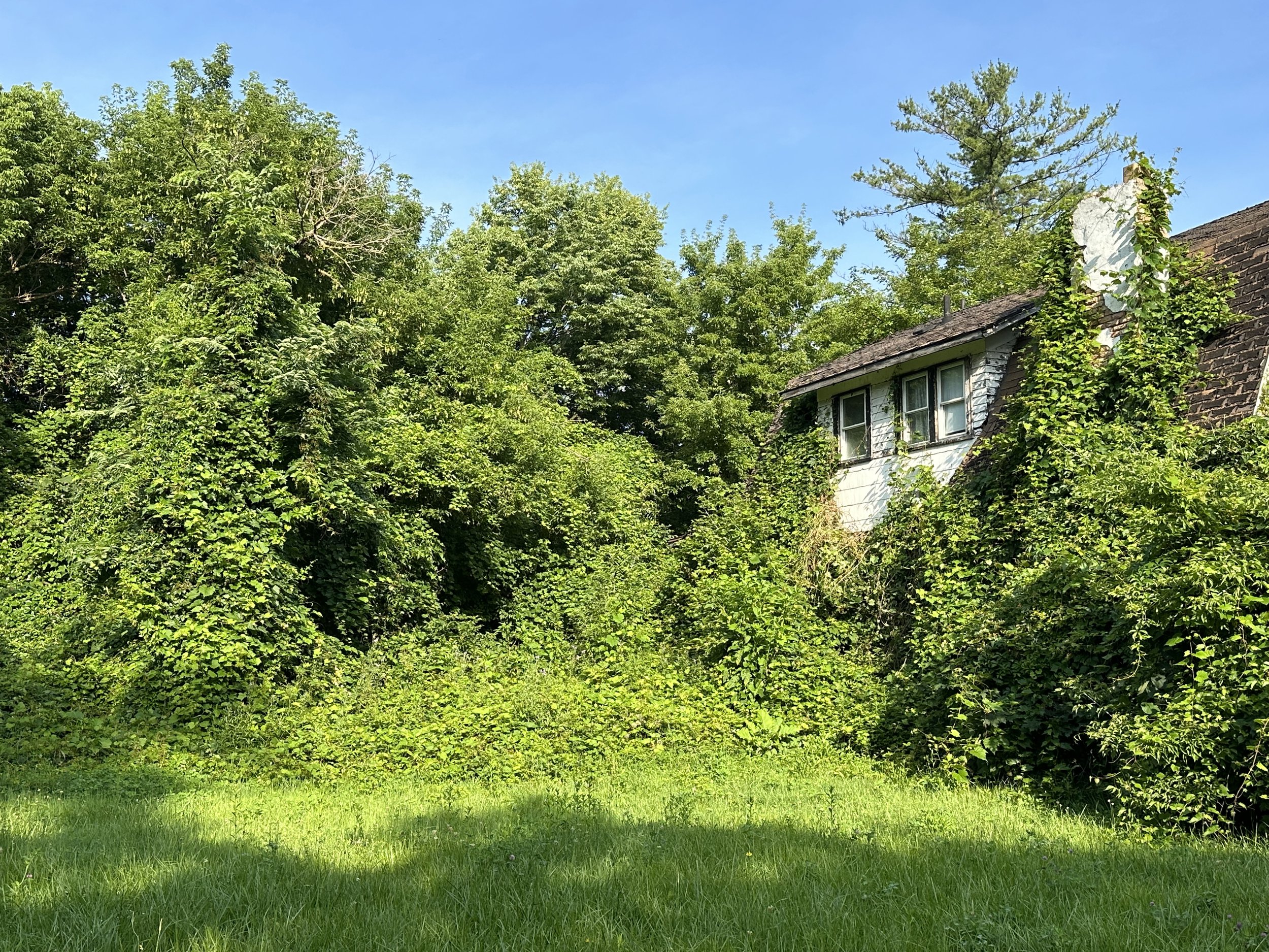 Disappearing House, 2023.jpg