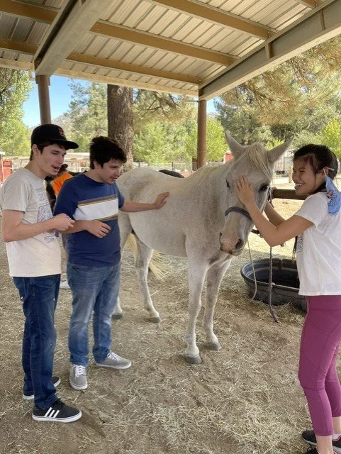 Young Adult group attending a Ranch Trip