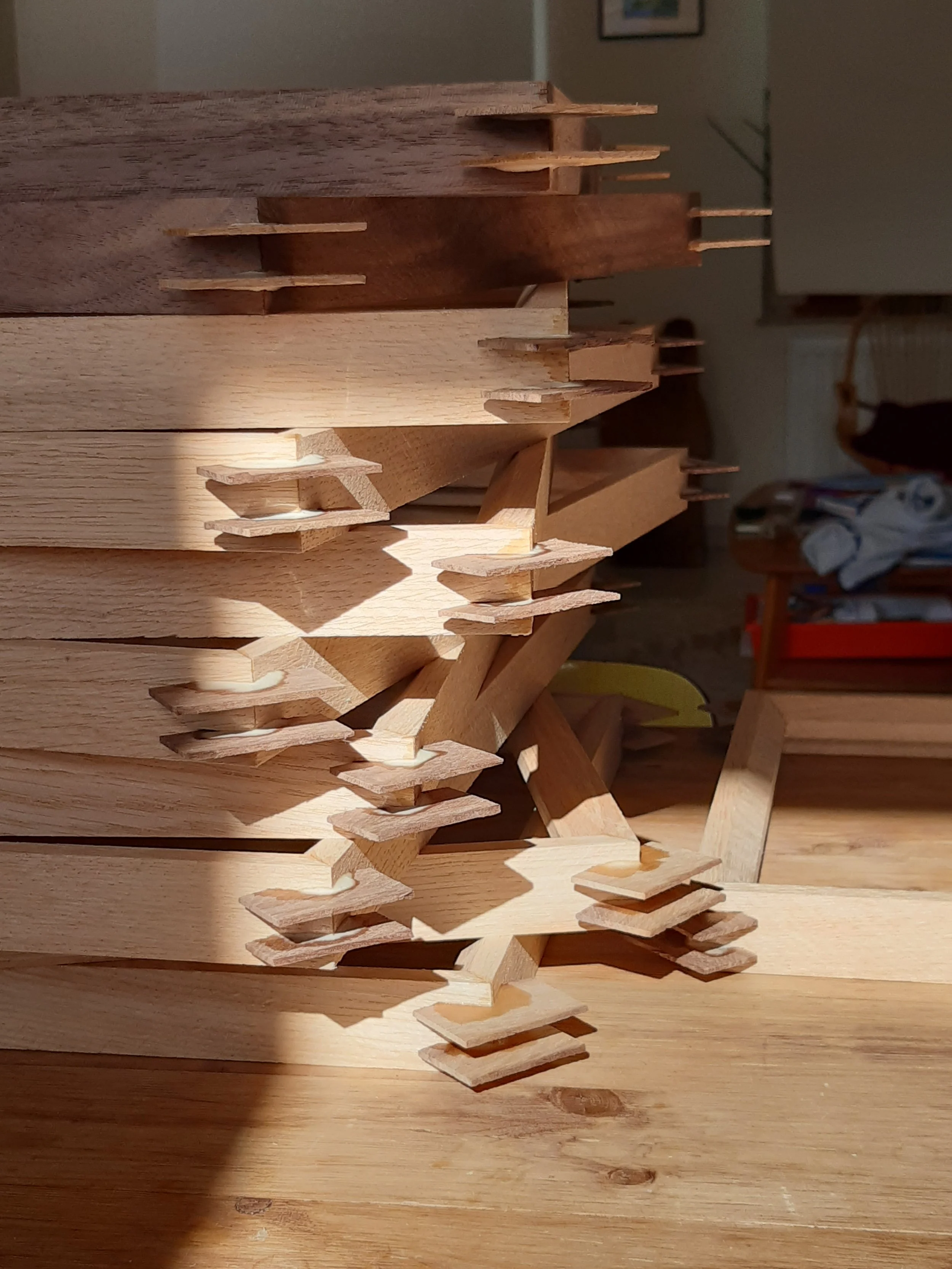 20201006_121752.jpg